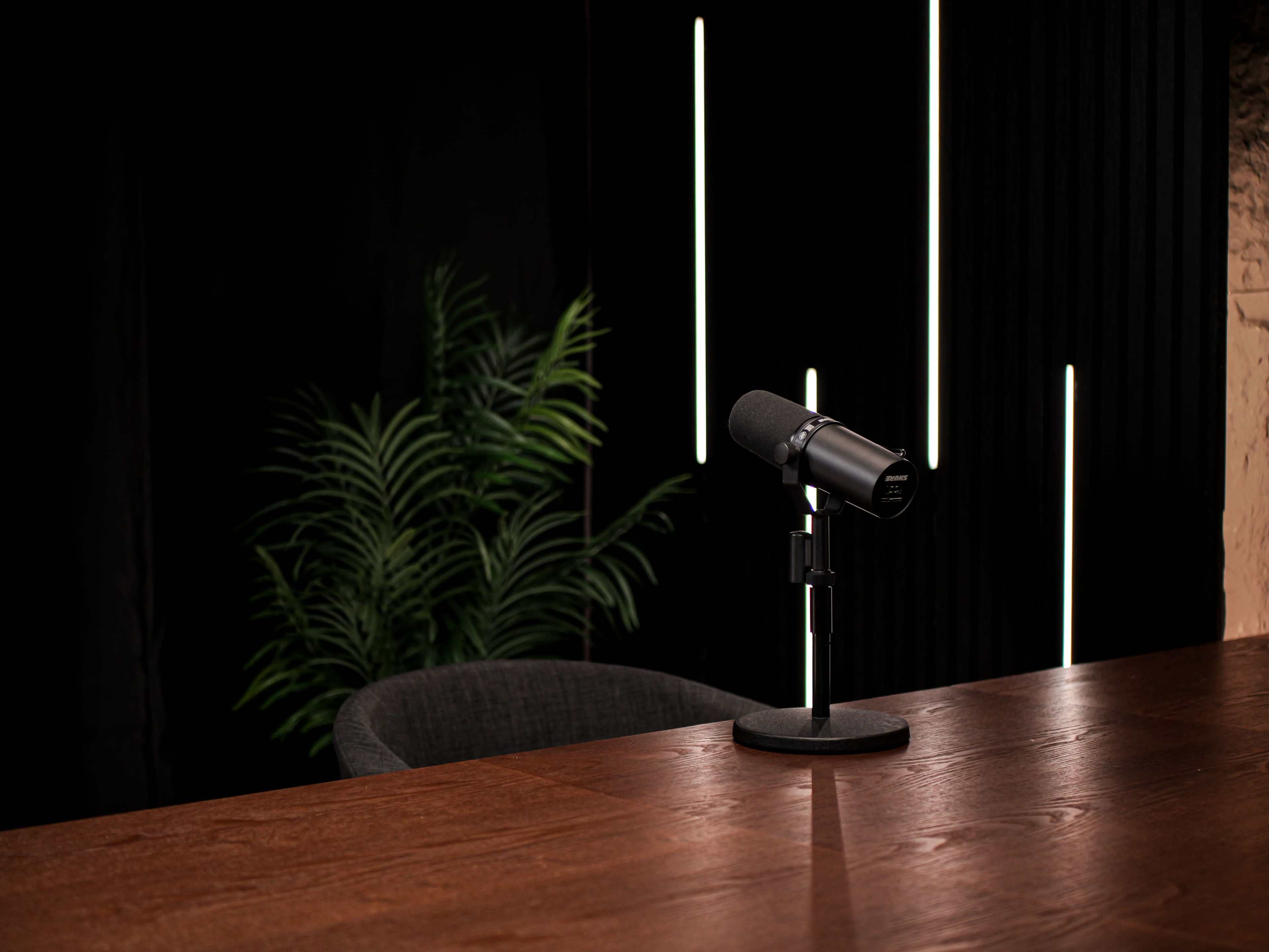 A black microphone is mounted on a stand on a wooden table, with a green plant in the background and vertical light strips illuminating the space.