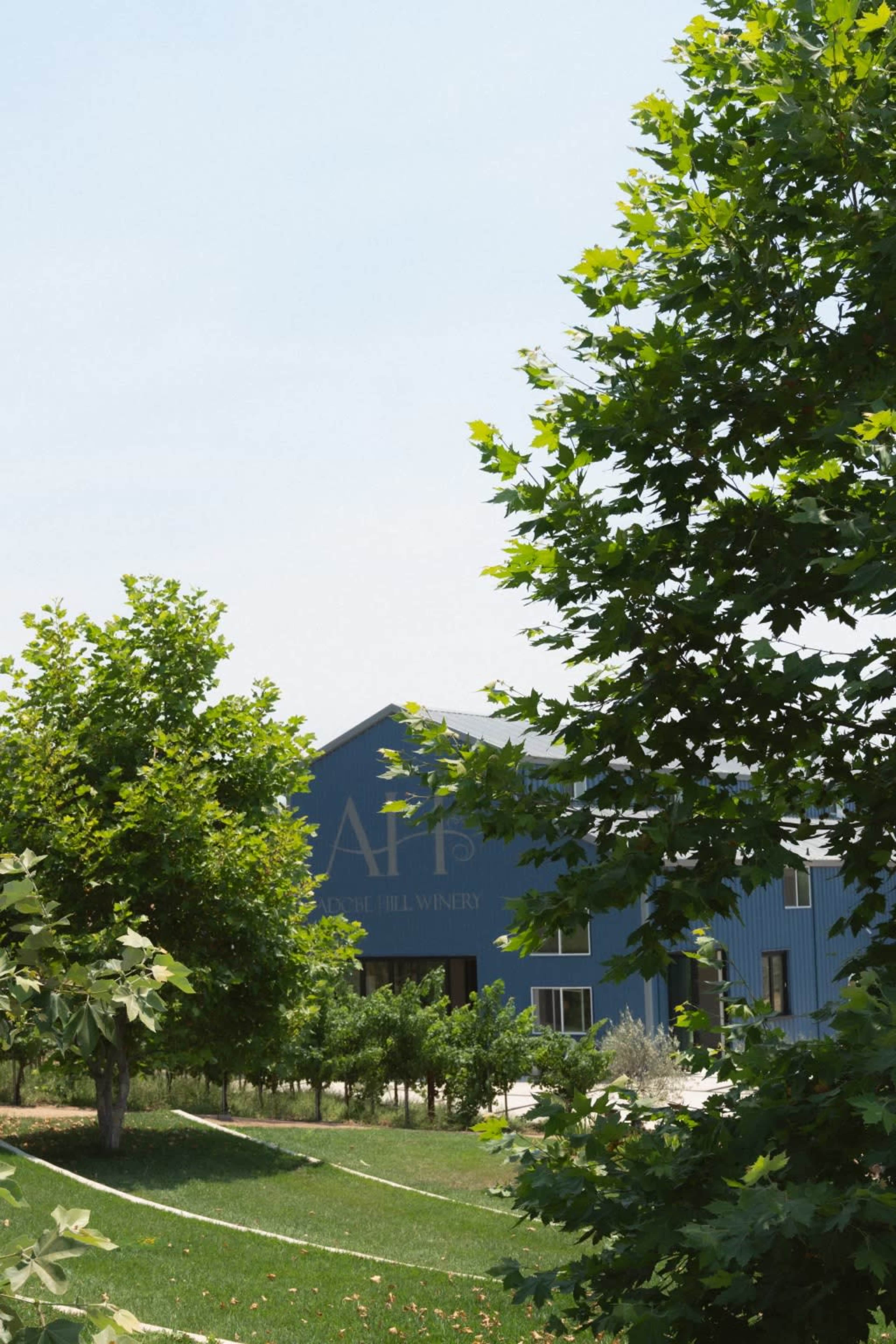 Hidden Vineyard Paradise: Tranquil Hillside Retreat Image in , Fallbrook, CA