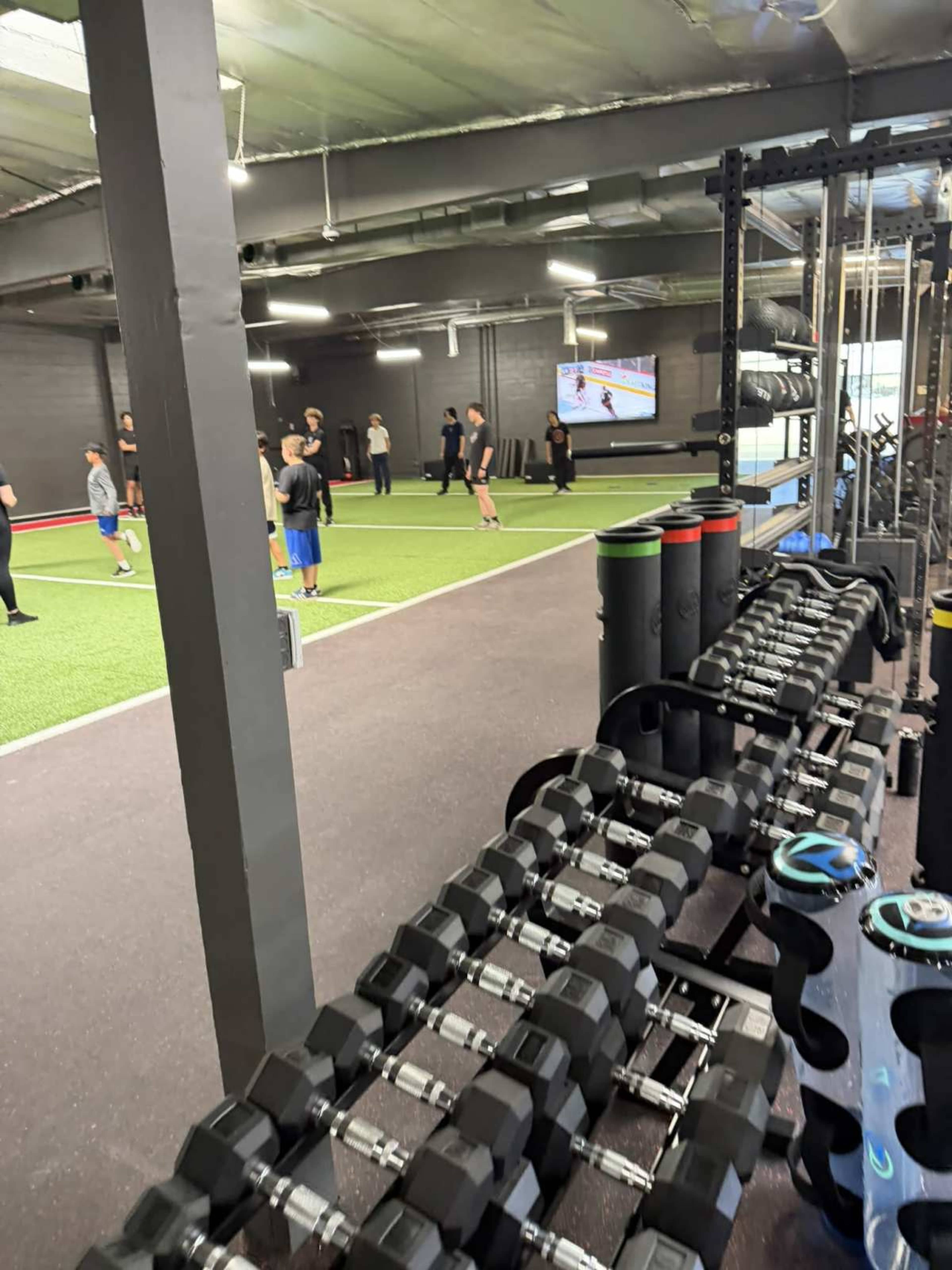The image shows a fitness facility with dumbbells in the foreground and several people engaging in activity on a green artificial turf surface in the background.