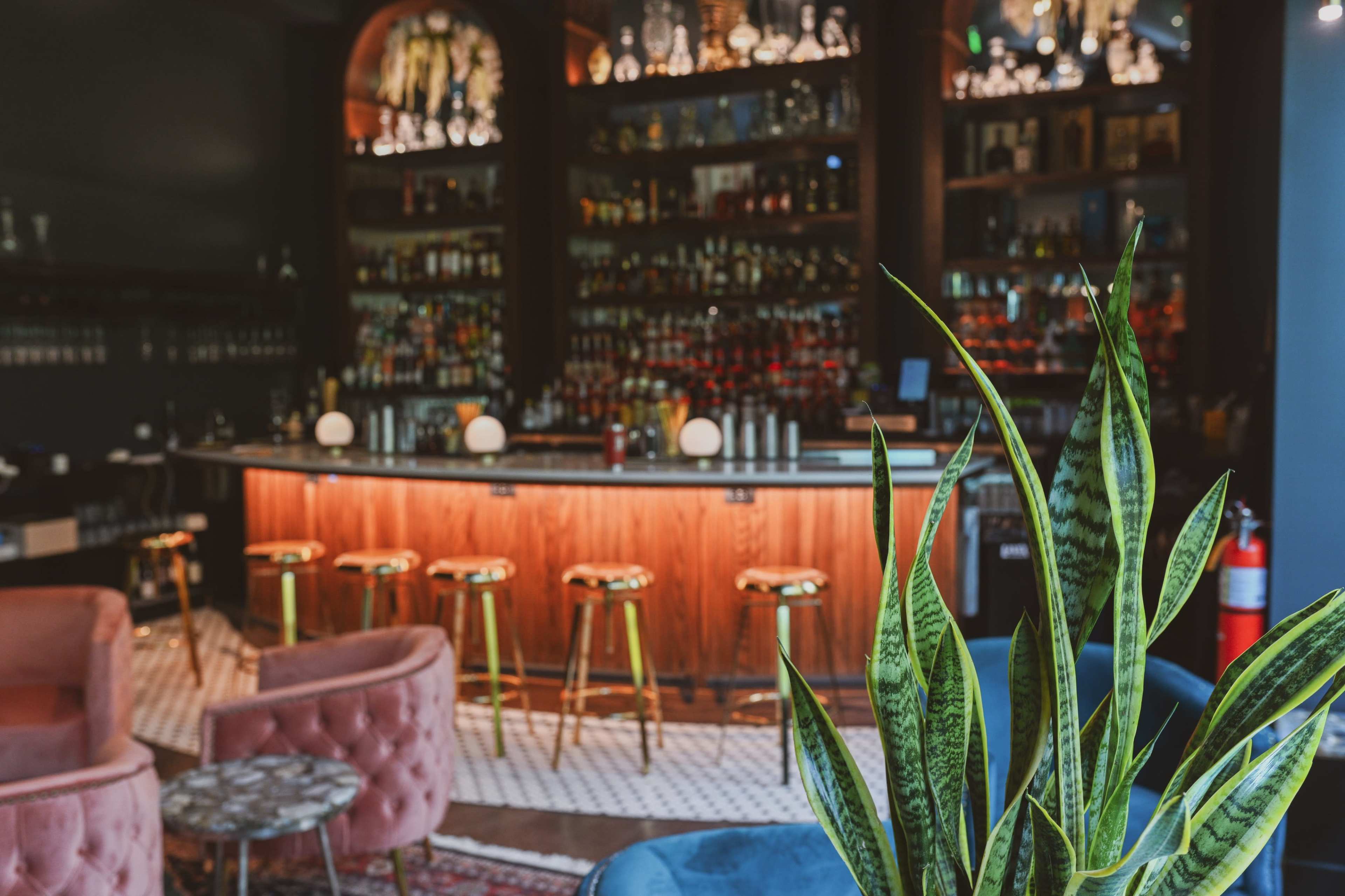 Luxe Social Club in historic downtown Powell with speak easy vibes Image in Liberty Township, Powell, OH