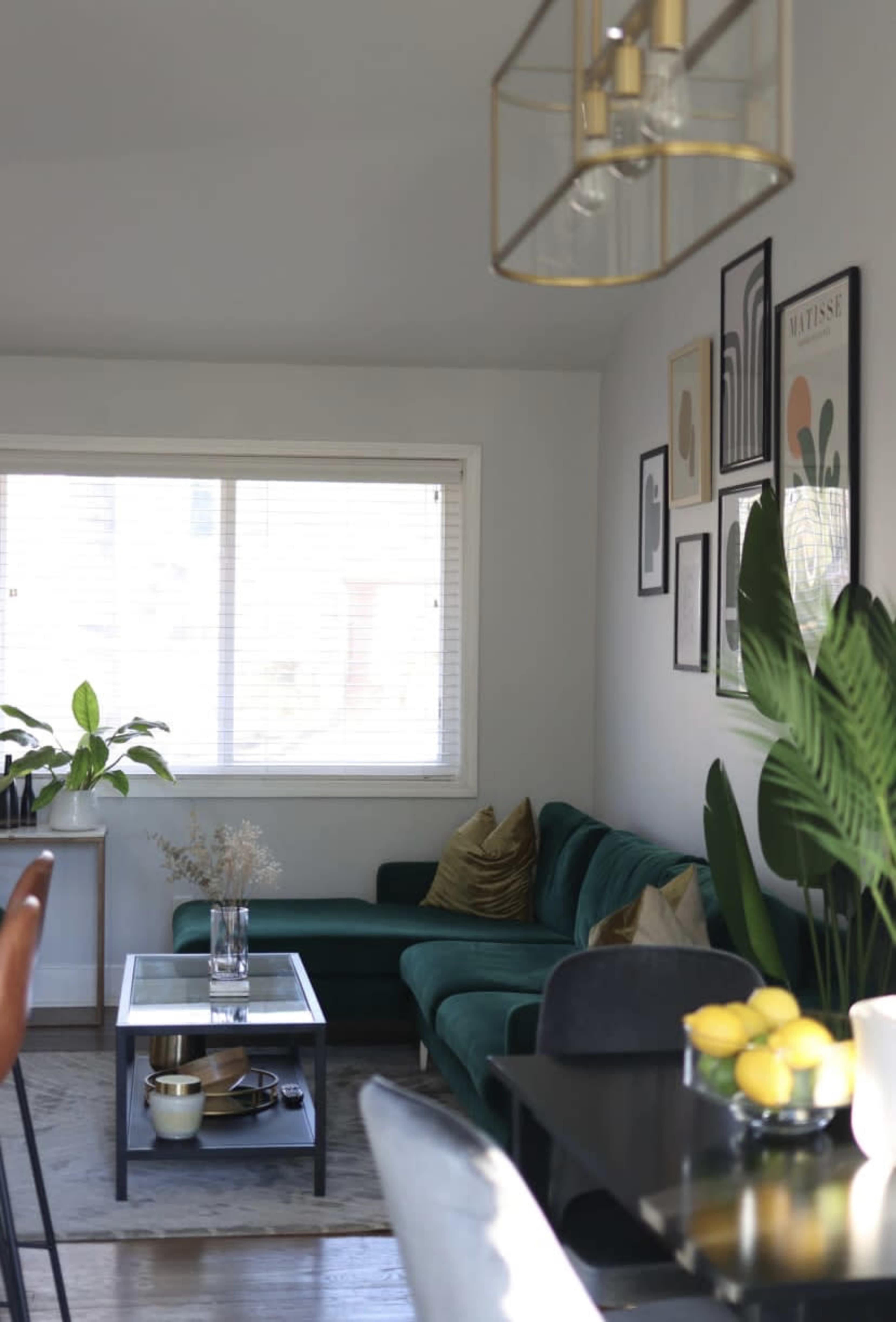 A modern living room features a green sofa, a coffee table with decor, houseplants, and framed art on the walls.