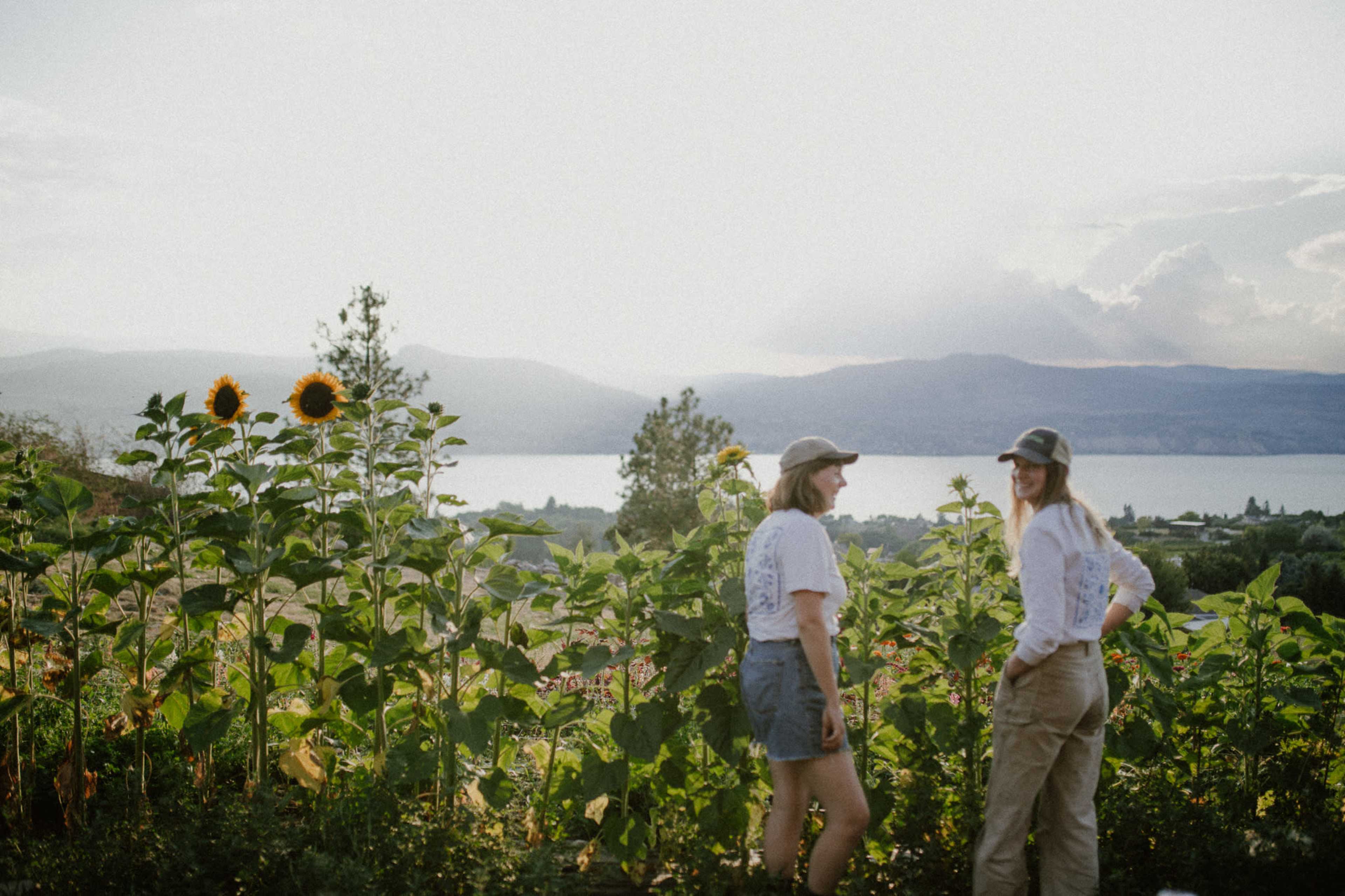 Vegetable and Flower Farm with Lake View Image in Naramata, Naramata, BC
