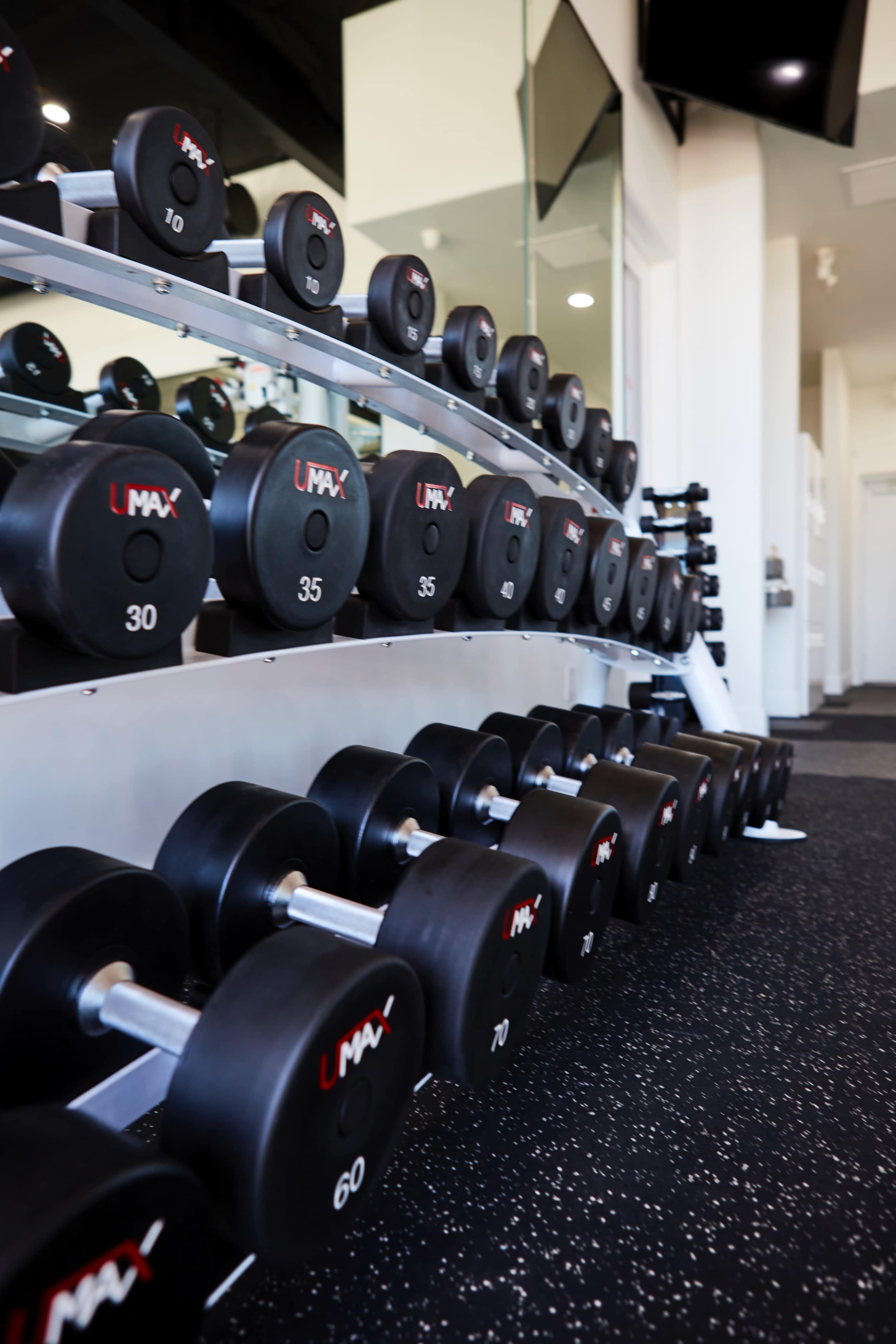 Clean and exclusive Wellness and Training Studio with Tons of Natural Light Image in North City, Del Mar, CA