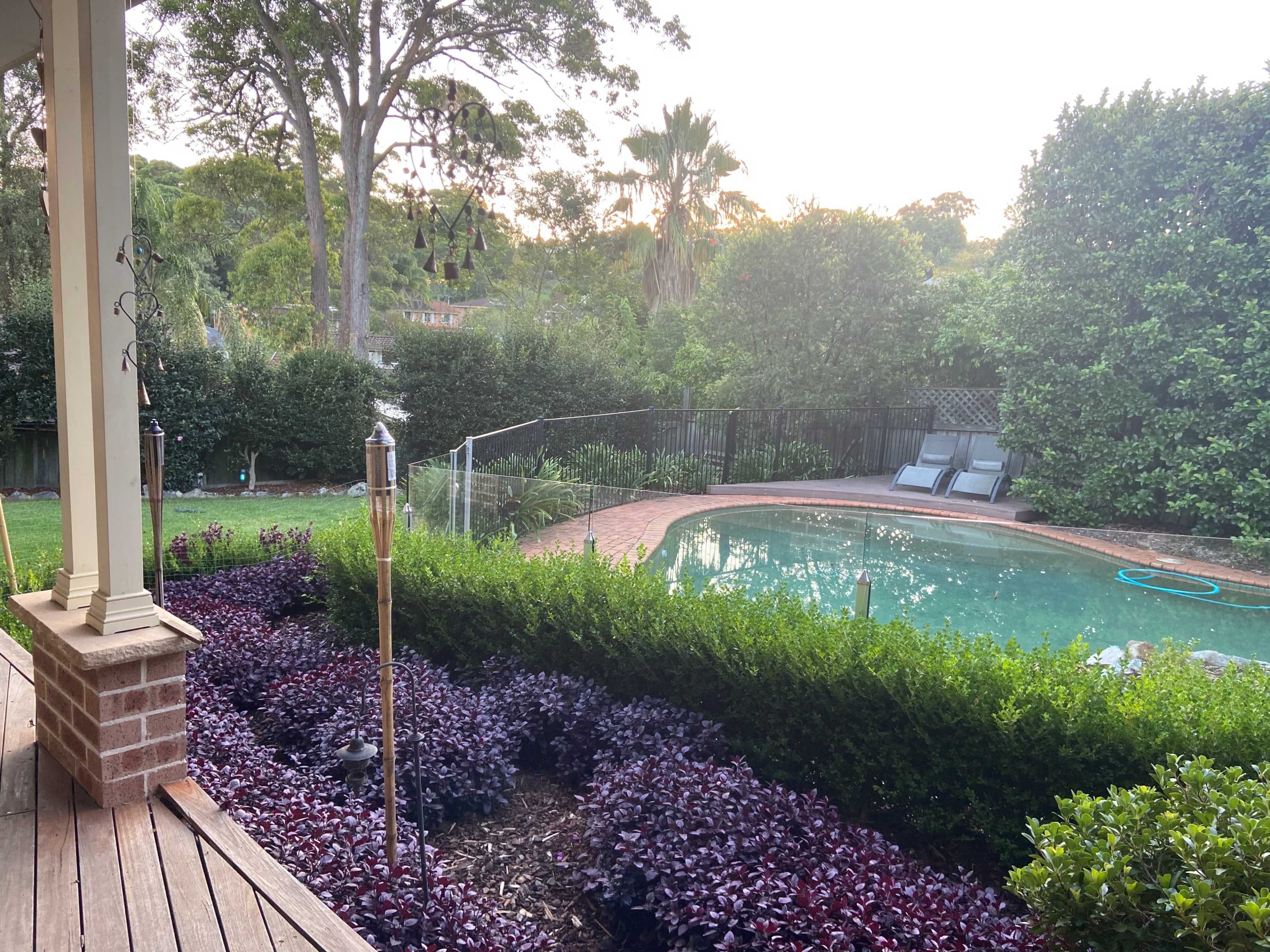 The image shows a backyard with a swimming pool surrounded by greenery and a wooden deck.