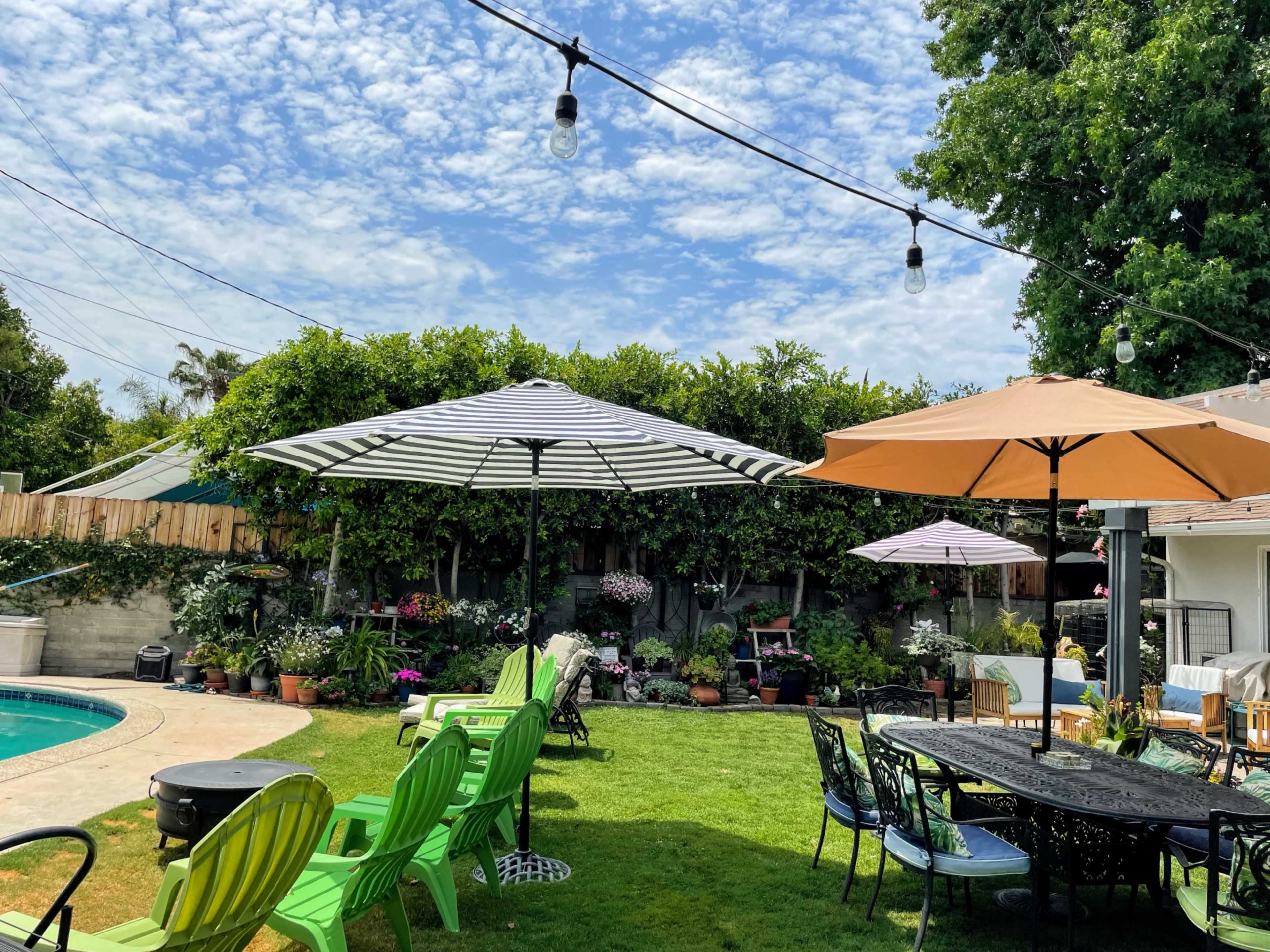A back garden with a swimming pool, several patio umbrellas, colorful lounge chairs, and numerous potted plants.
