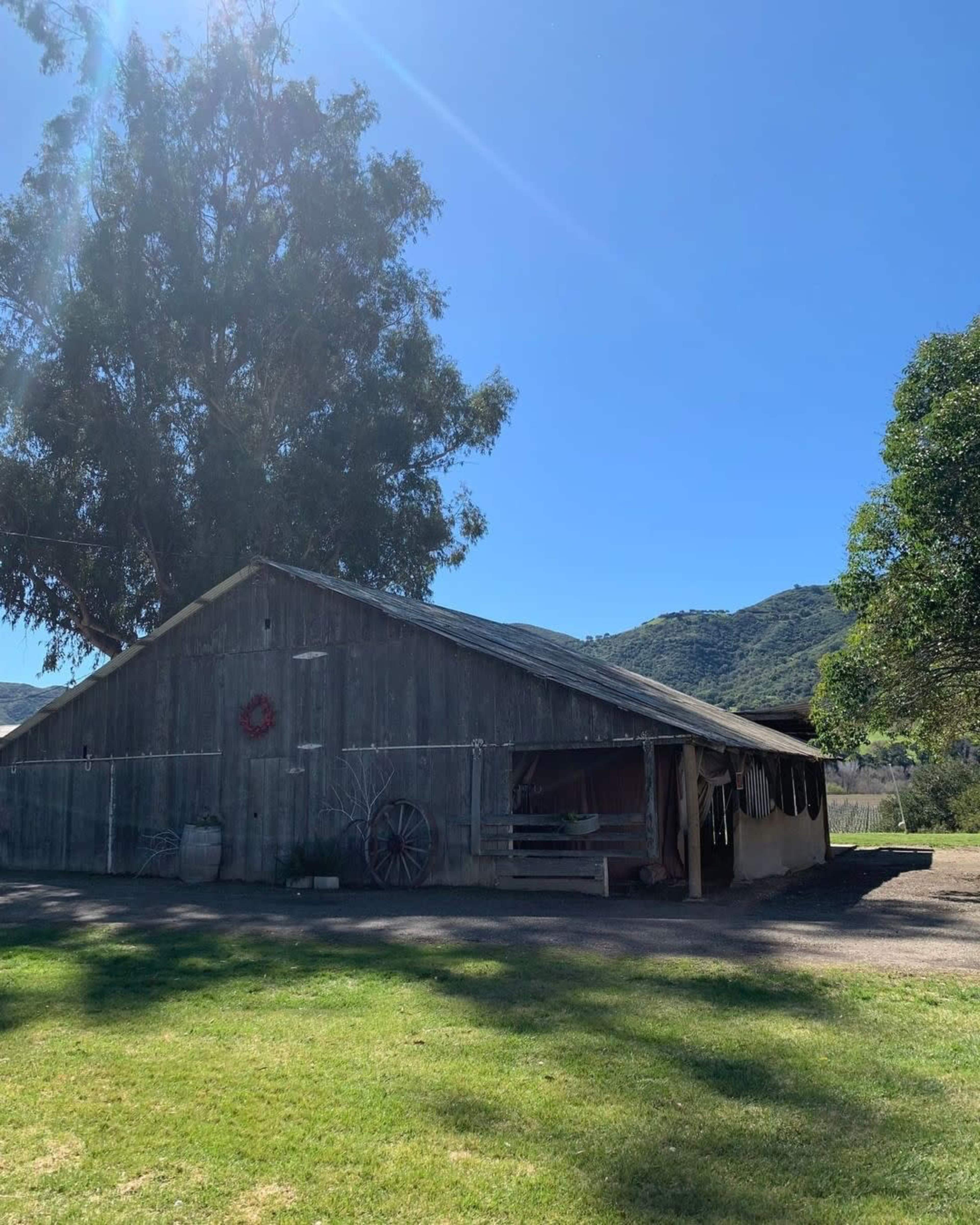 A weathered barn sits beside a grassy area, framed by trees and a hillside under a clear blue sky.