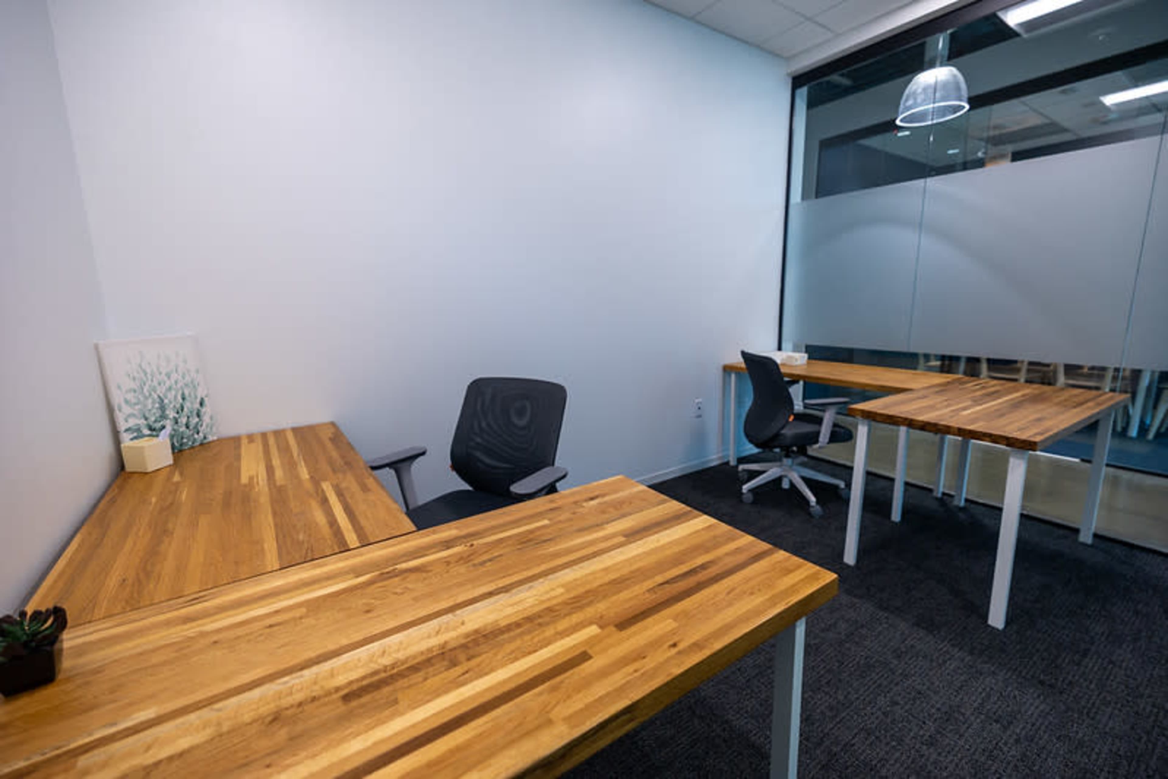 The image shows a minimalist office space featuring two wooden desks with chairs, situated on a carpeted floor against a plain white wall.