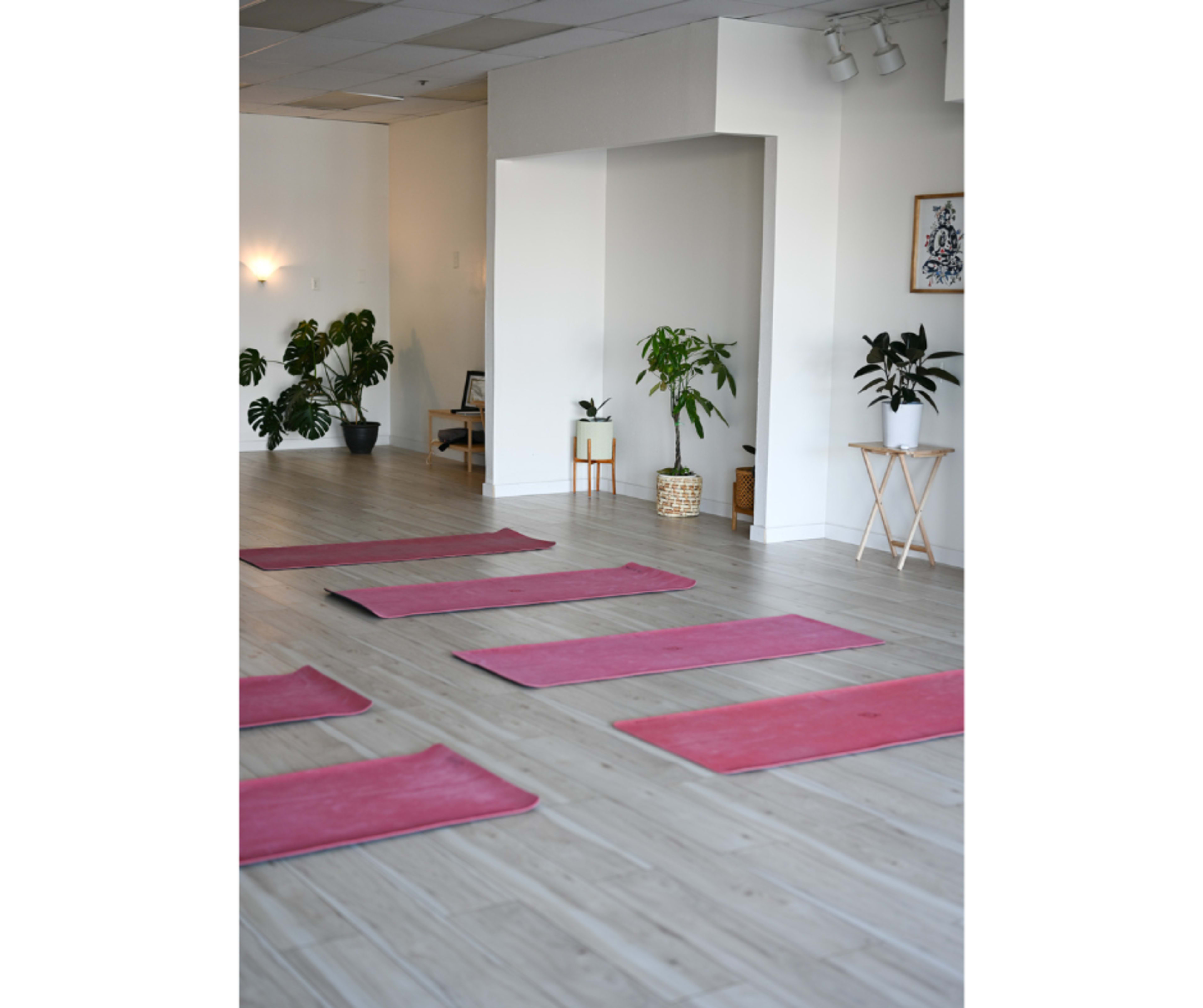 The image shows a yoga studio with six pink mats arranged on a wooden floor, surrounded by various potted plants.