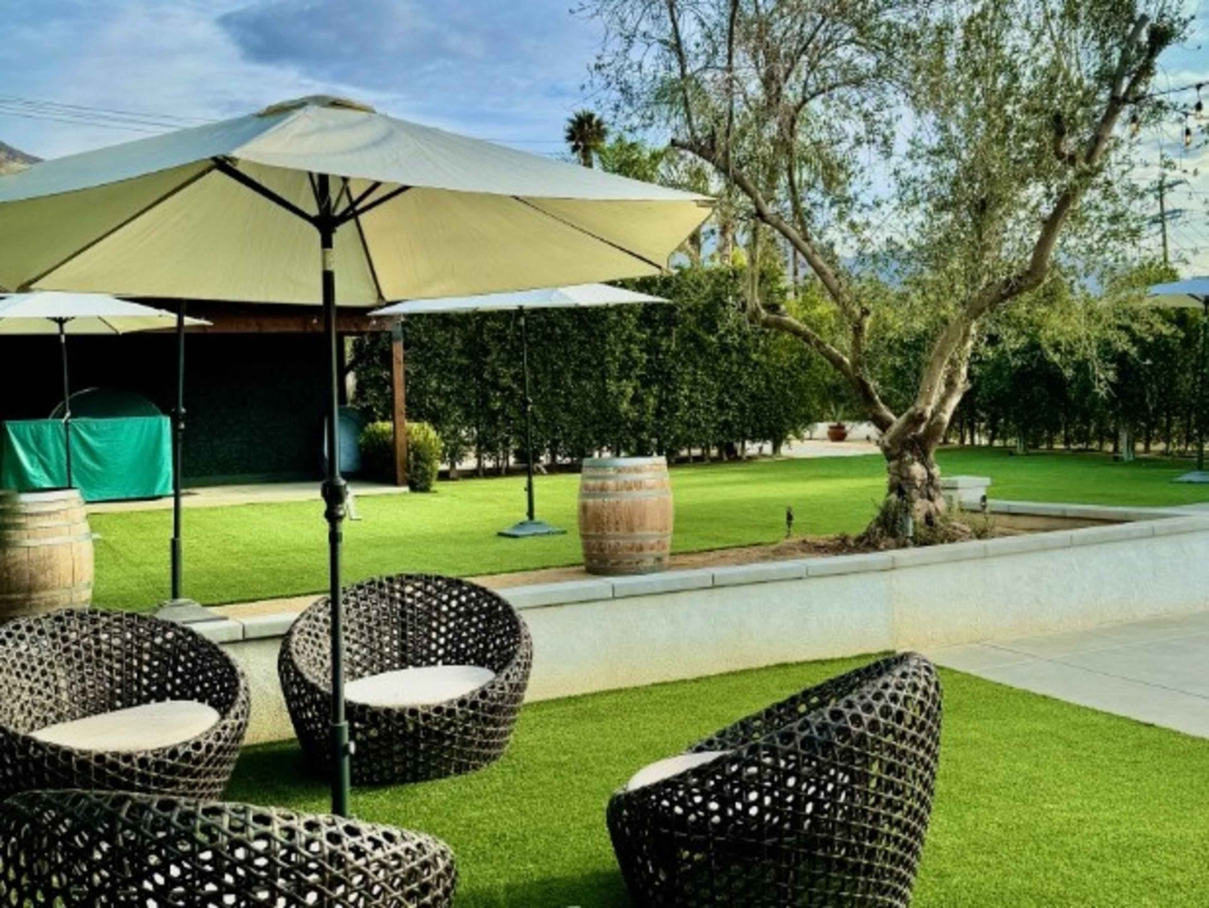 Ivory  Patio Umbrellas