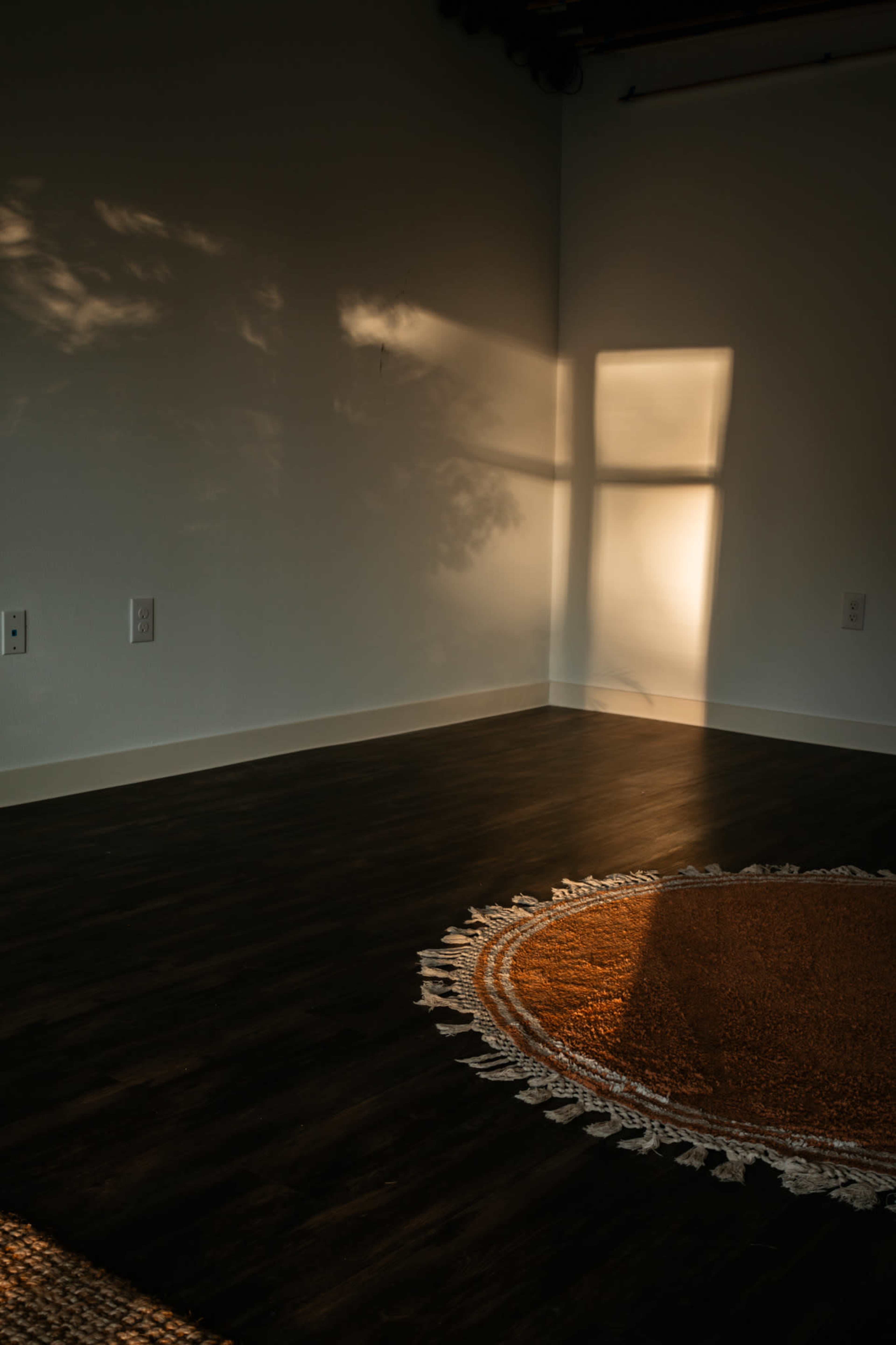 A sunlit room with a circular orange rug on a dark wooden floor, casting shadows on the wall from a nearby window.