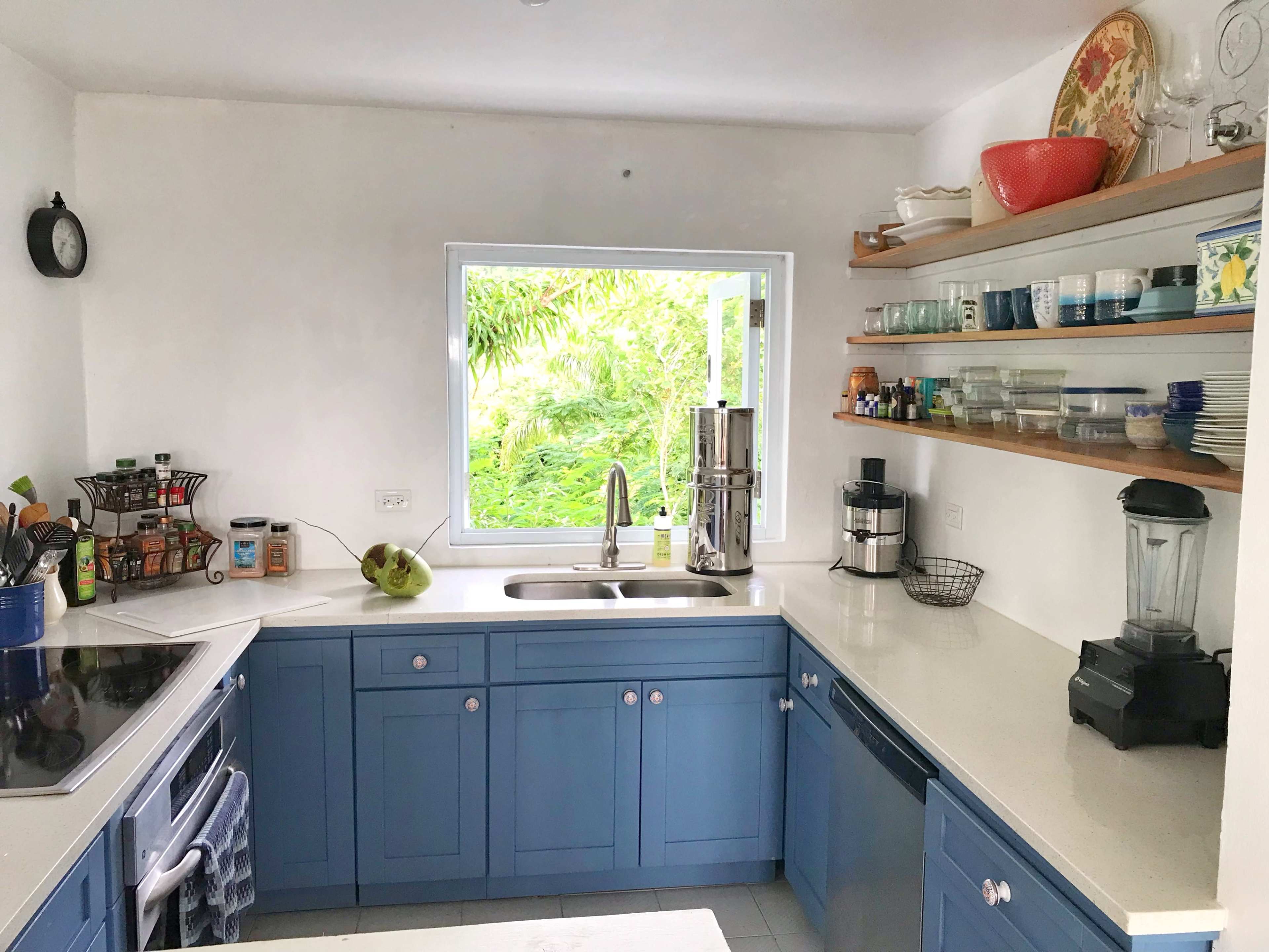 A bright kitchen features blue cabinetry, a window overlooking greenery, and various appliances and dishware neatly arranged on shelves.
