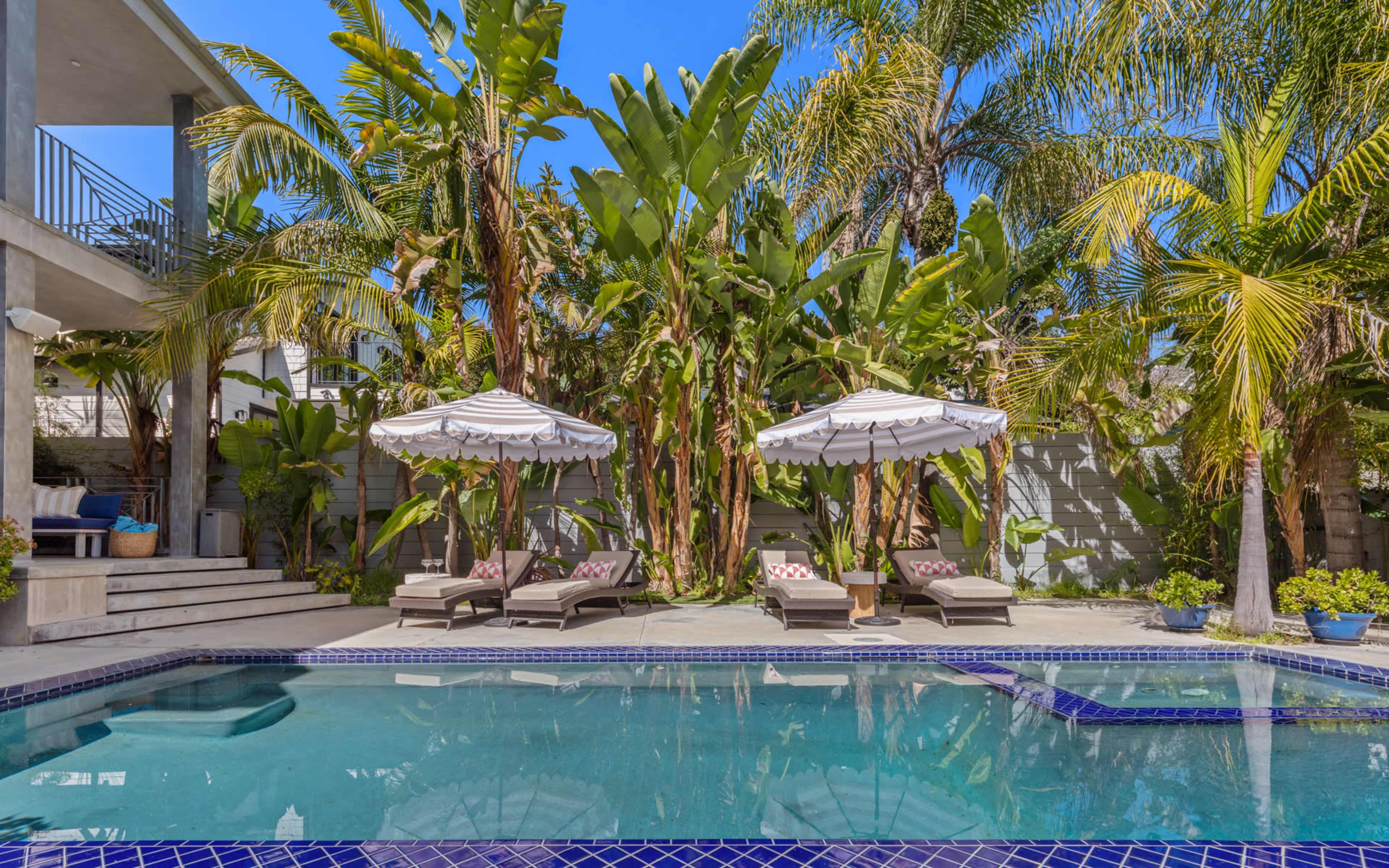 The image features a swimming pool surrounded by palm trees and lounge chairs with umbrellas in a tropical setting.