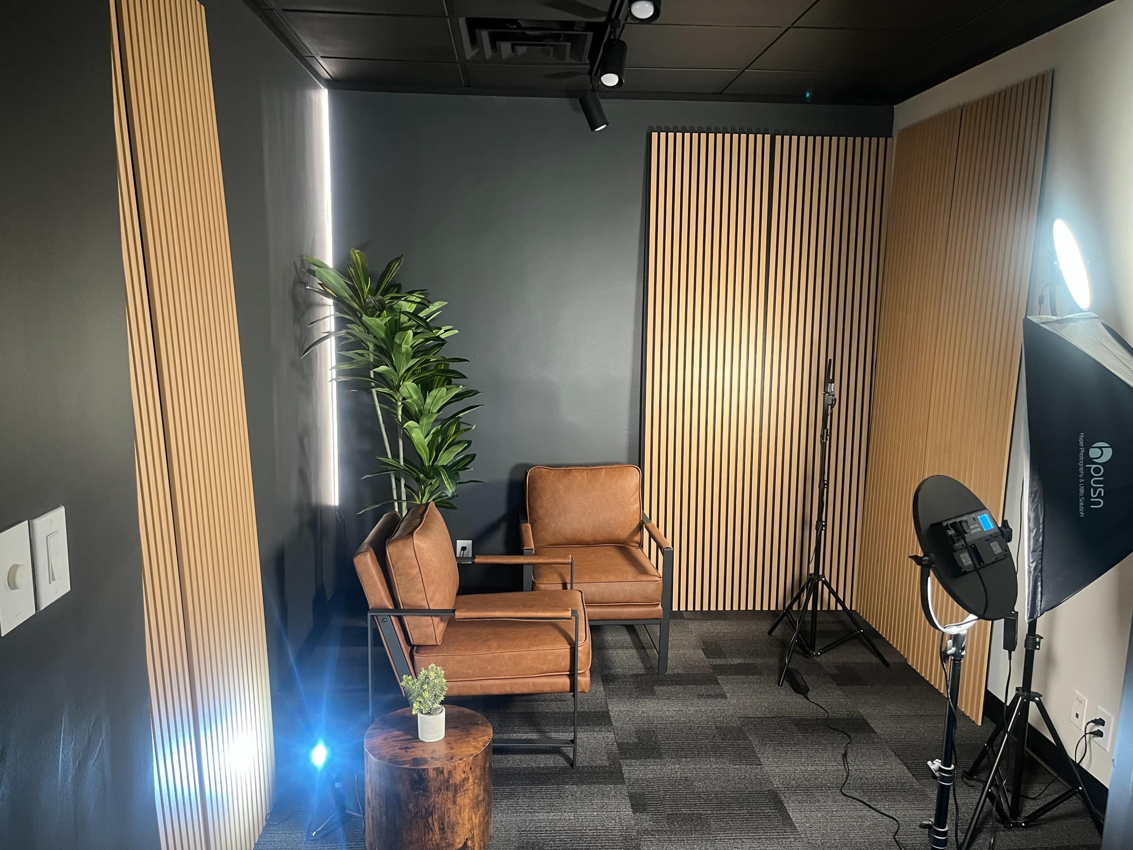 The image shows a small, modern studio setup with two brown leather chairs, a plant, a light source, and a microphone stand against a dark wall with wooden paneling.