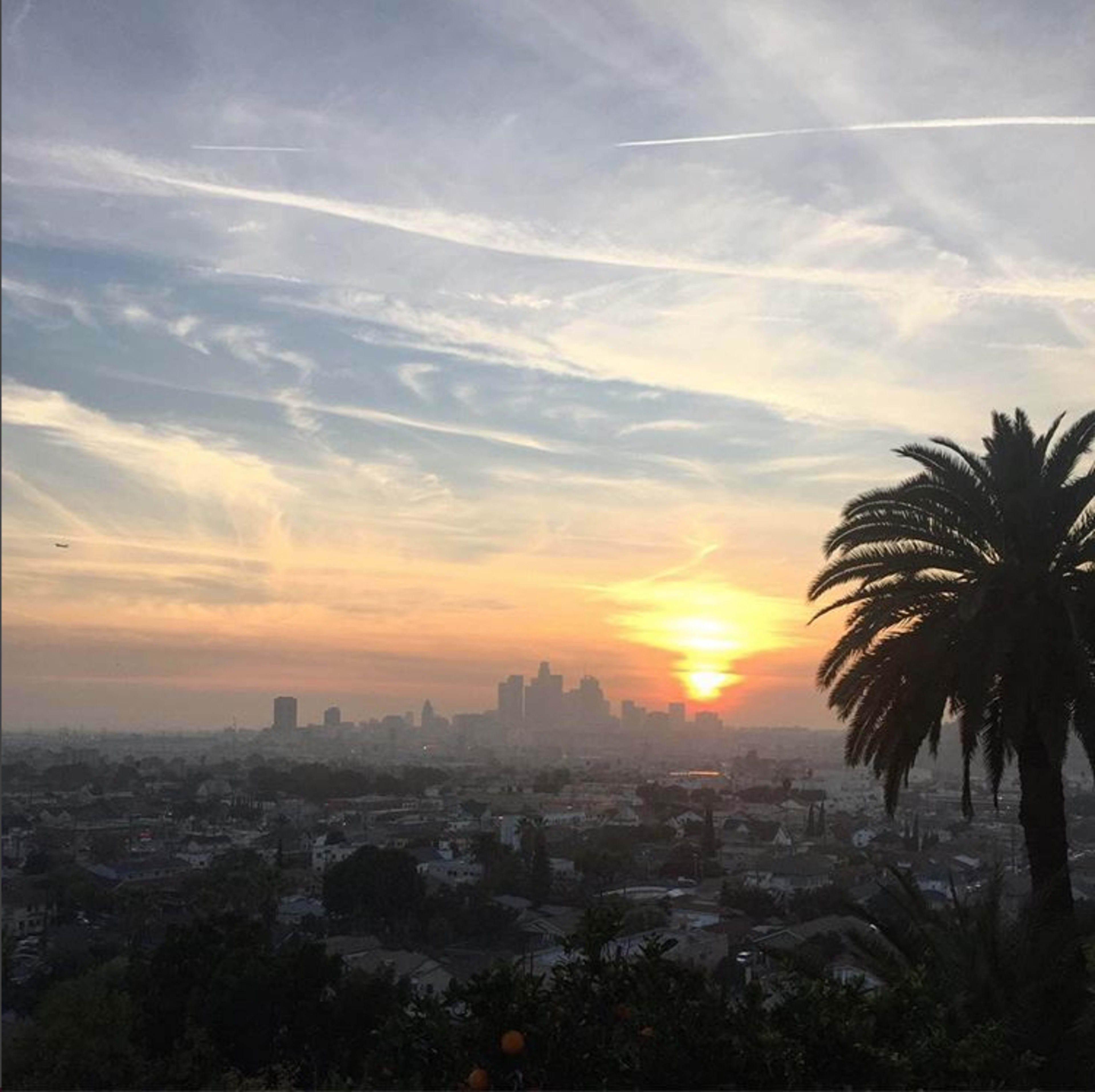 The sun sets over the Los Angeles skyline, with palm trees framing the foreground.