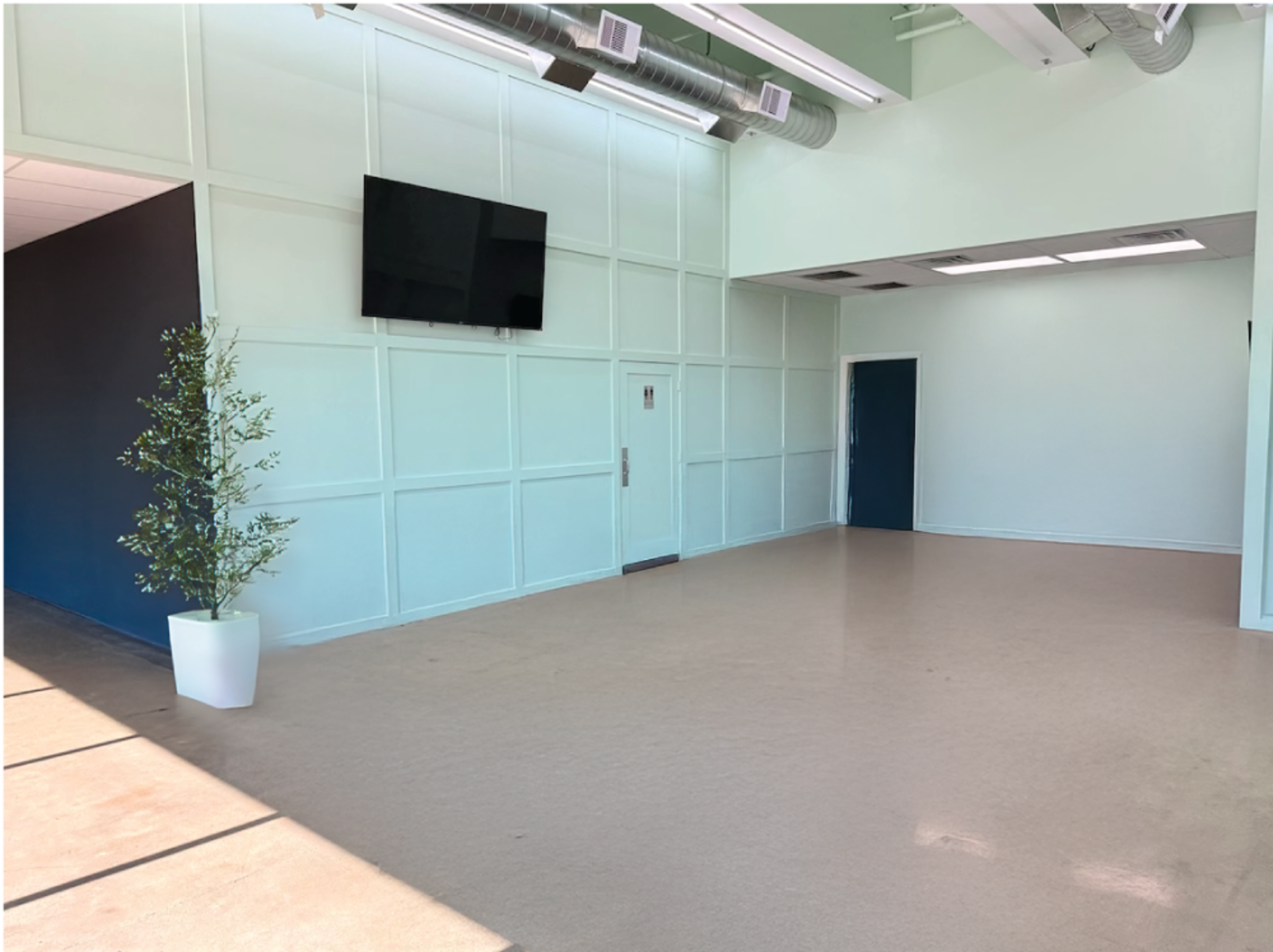 The image shows an empty, well-lit interior space with light-colored walls, a flat-screen TV mounted on one wall, and a potted plant in the corner.