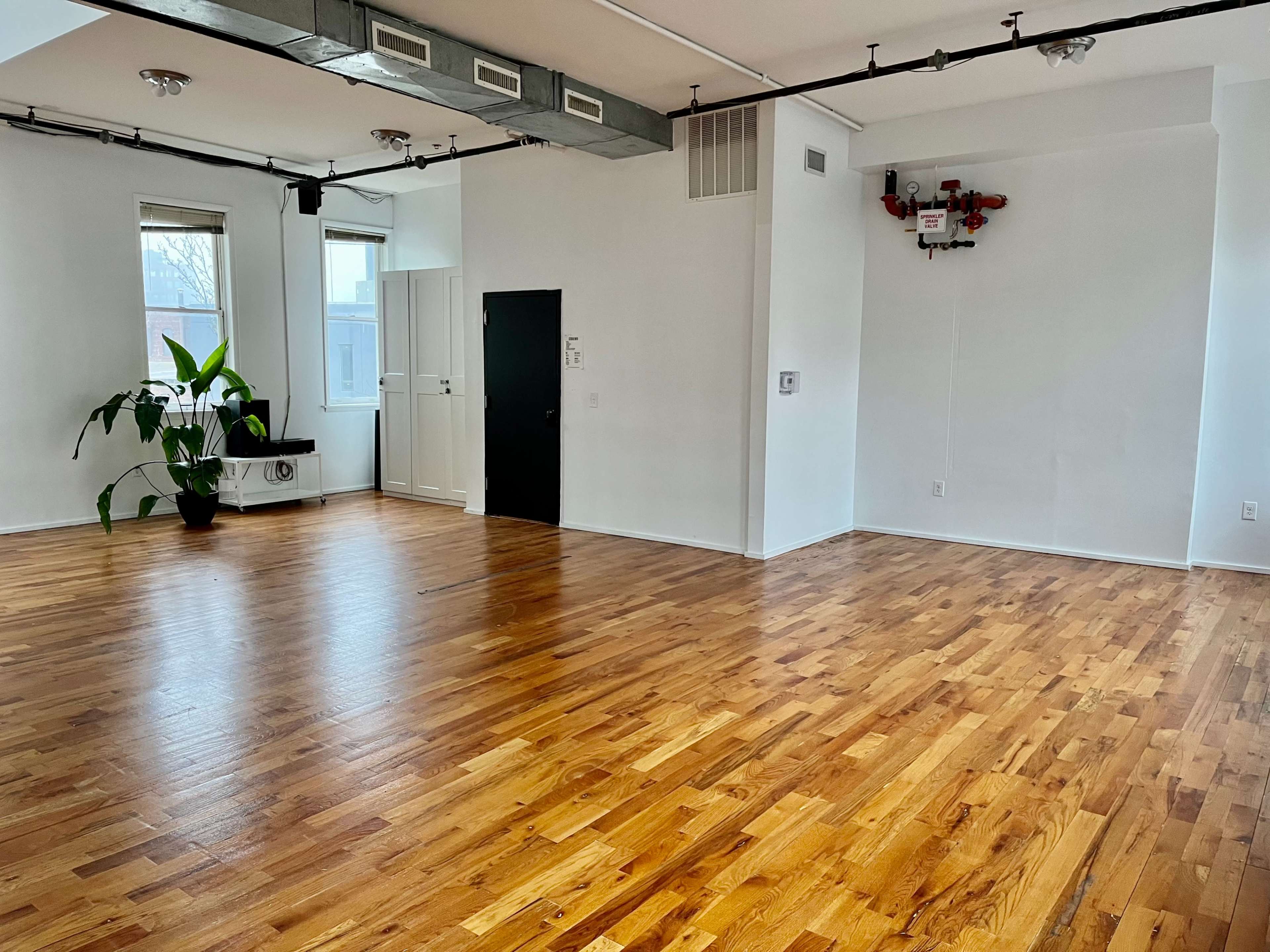 An empty room with hardwood flooring, large windows, and a corner plant.