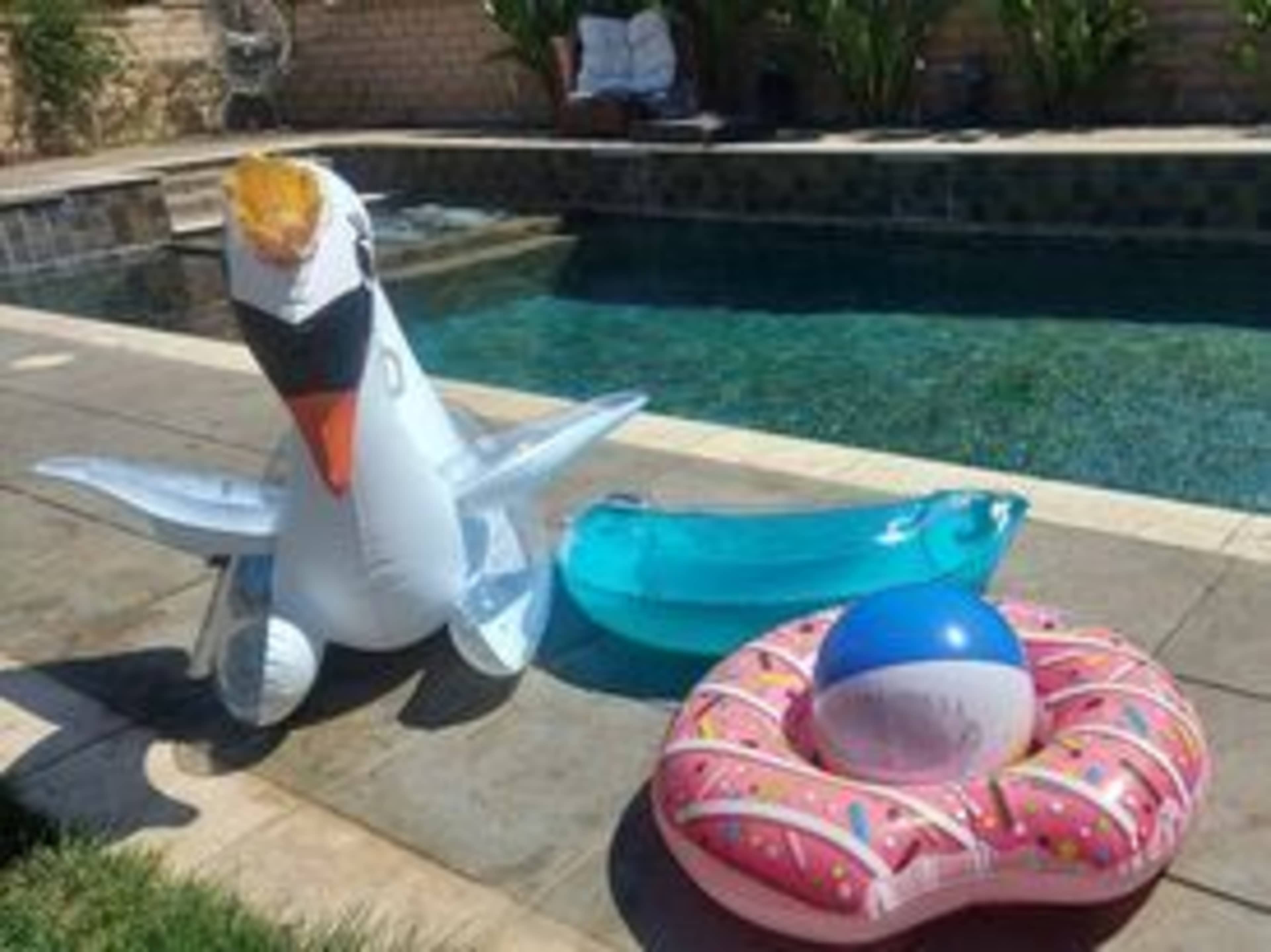 Pool Toys