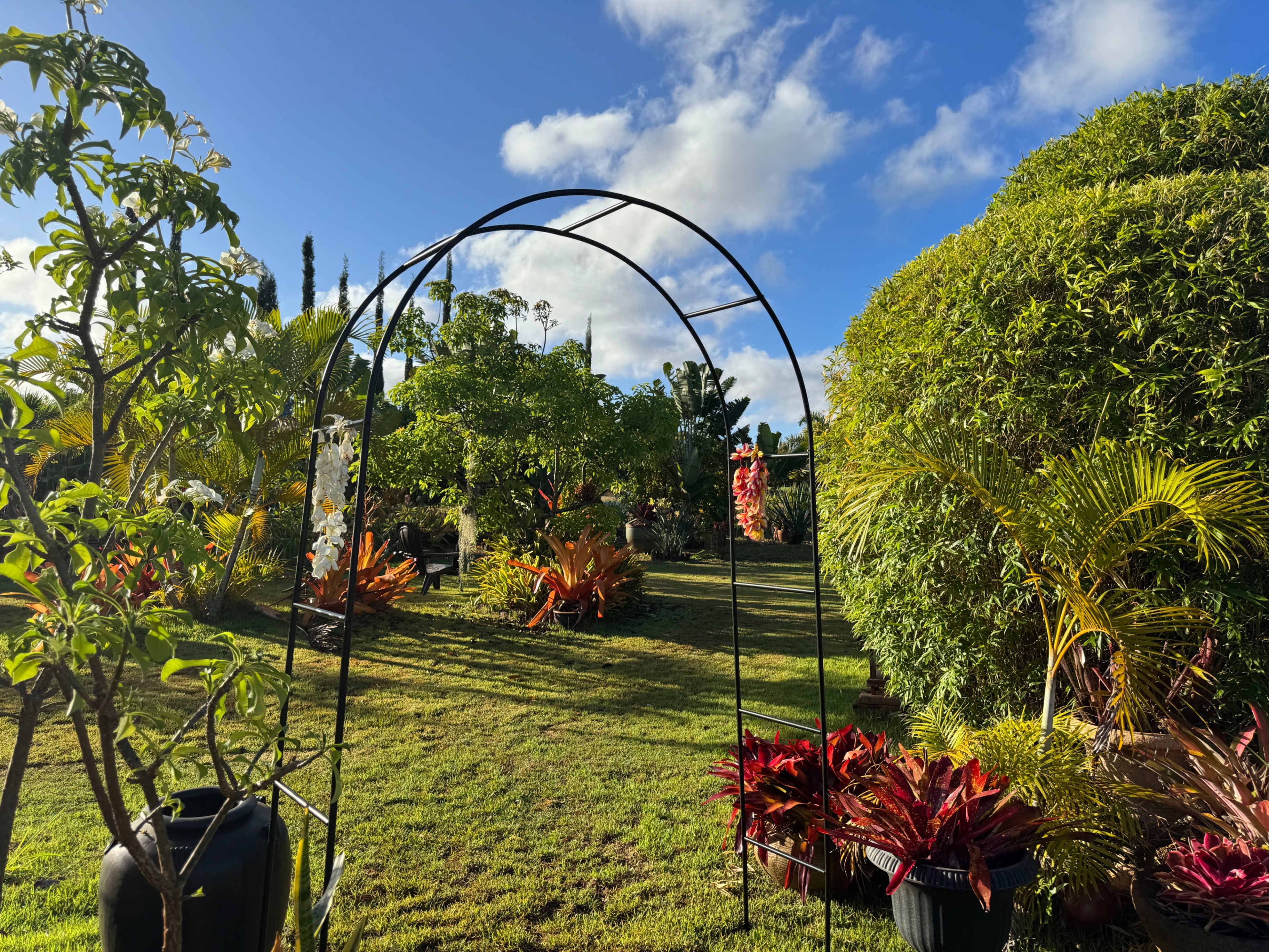 Tropical North Shore Farm House and Garden Image in North Shore, Waialua, HI