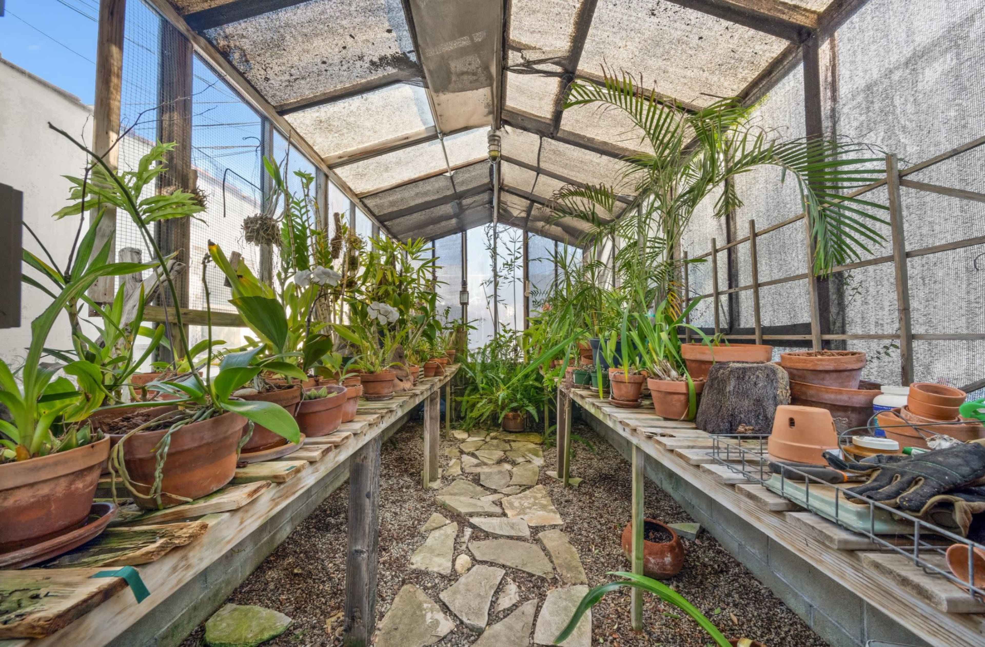 The image shows a greenhouse with potted plants on wooden tables flanking a stone pathway.