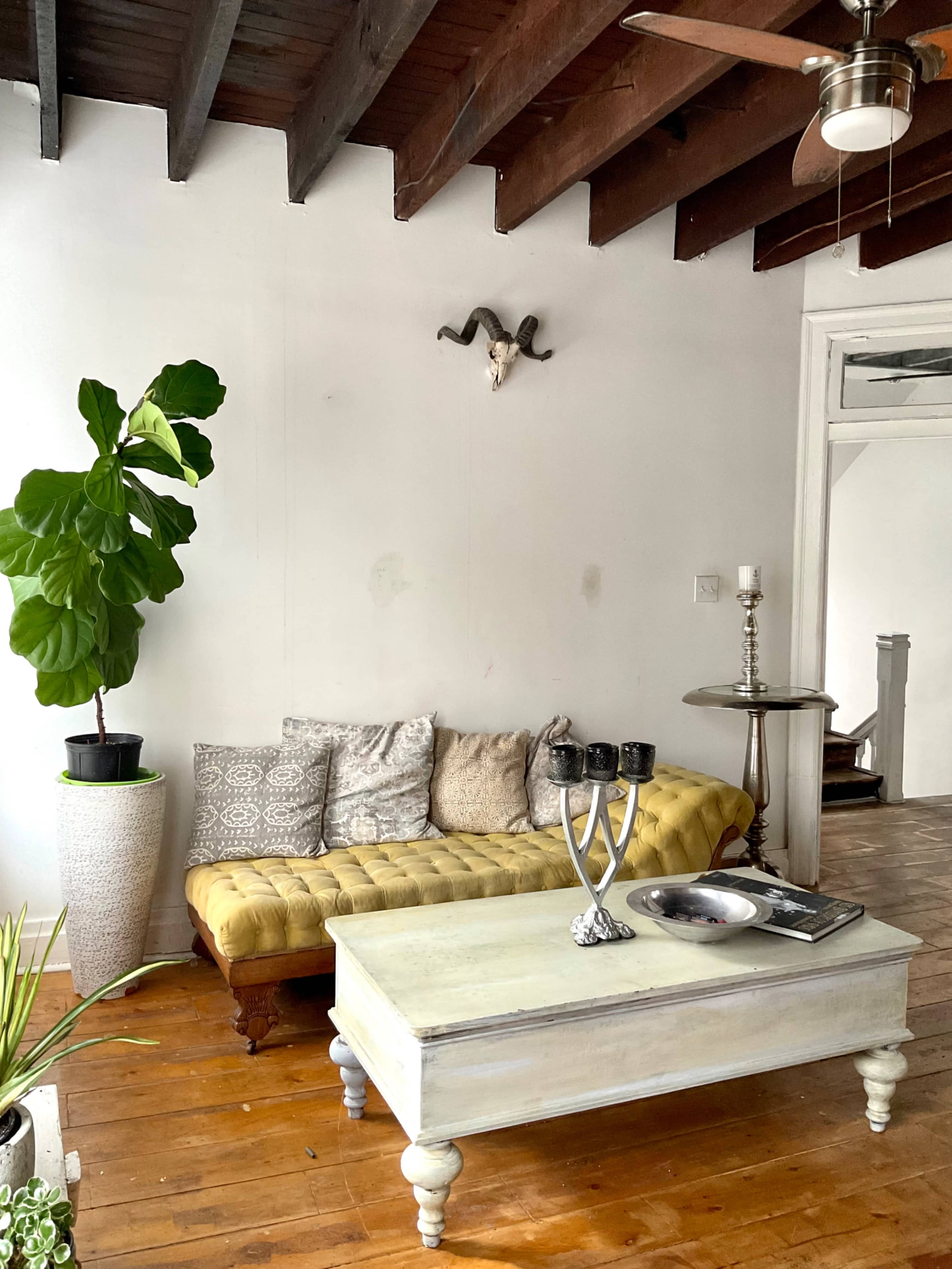A minimalist living room featuring a yellow tufted sofa, a tall potted plant, a wooden coffee table, and a decorative wall-mounted ram skull.