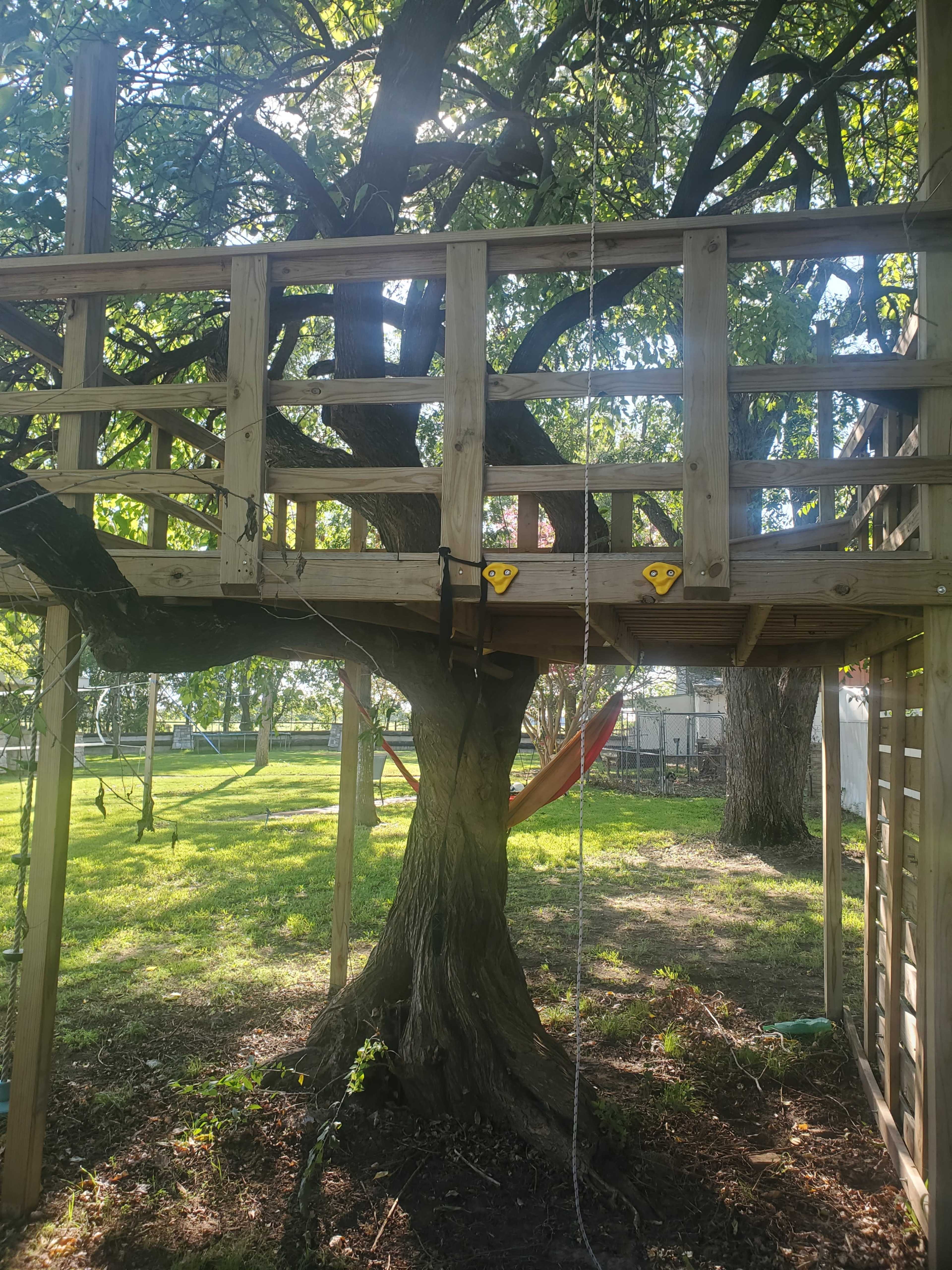 A wooden treehouse is built around a tree, featuring a rope swing and a hammock below it in a grassy area.
