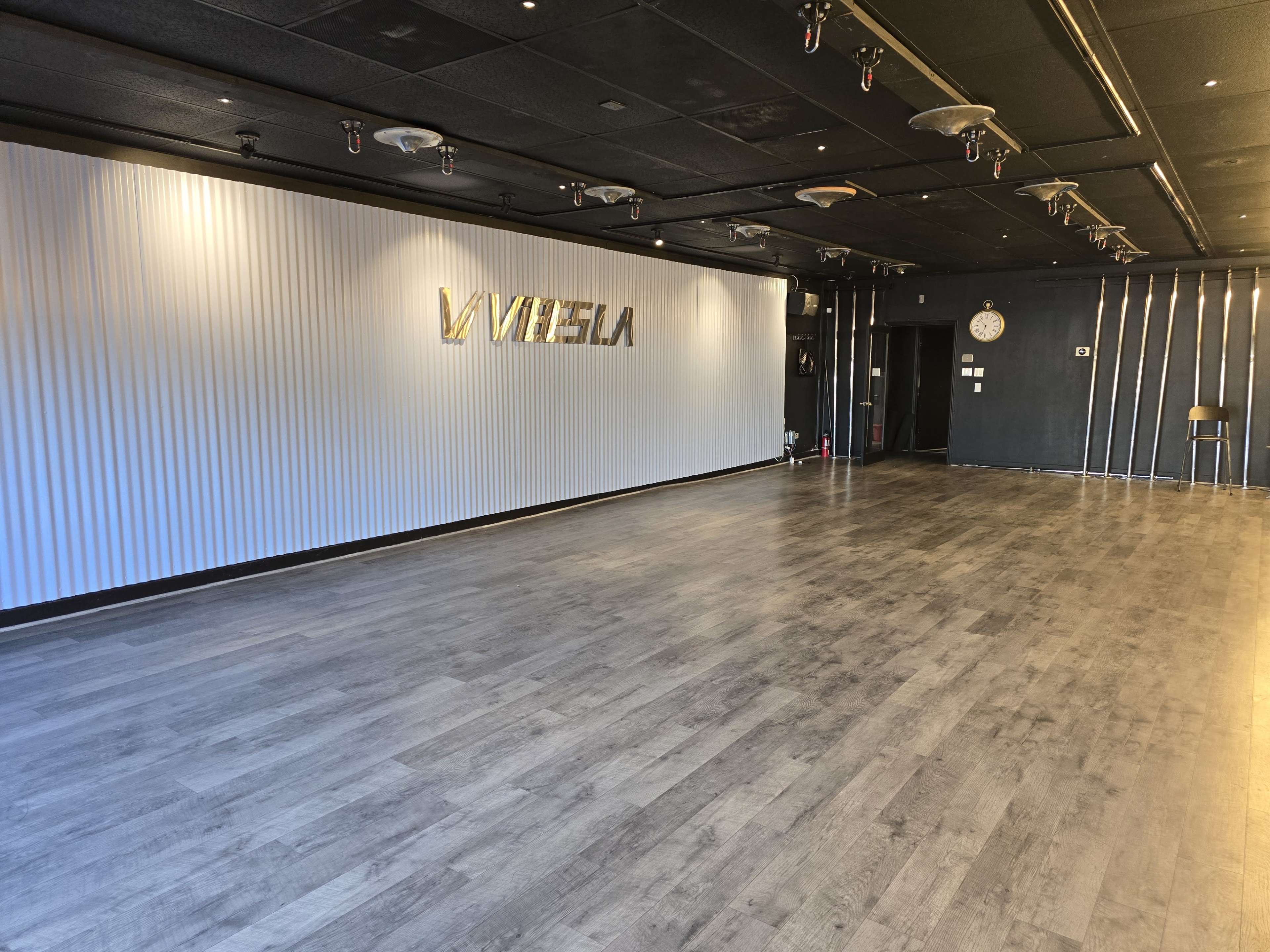 The image shows an empty, well-lit studio space with a textured wall displaying the name "VIESLA" and wooden flooring.