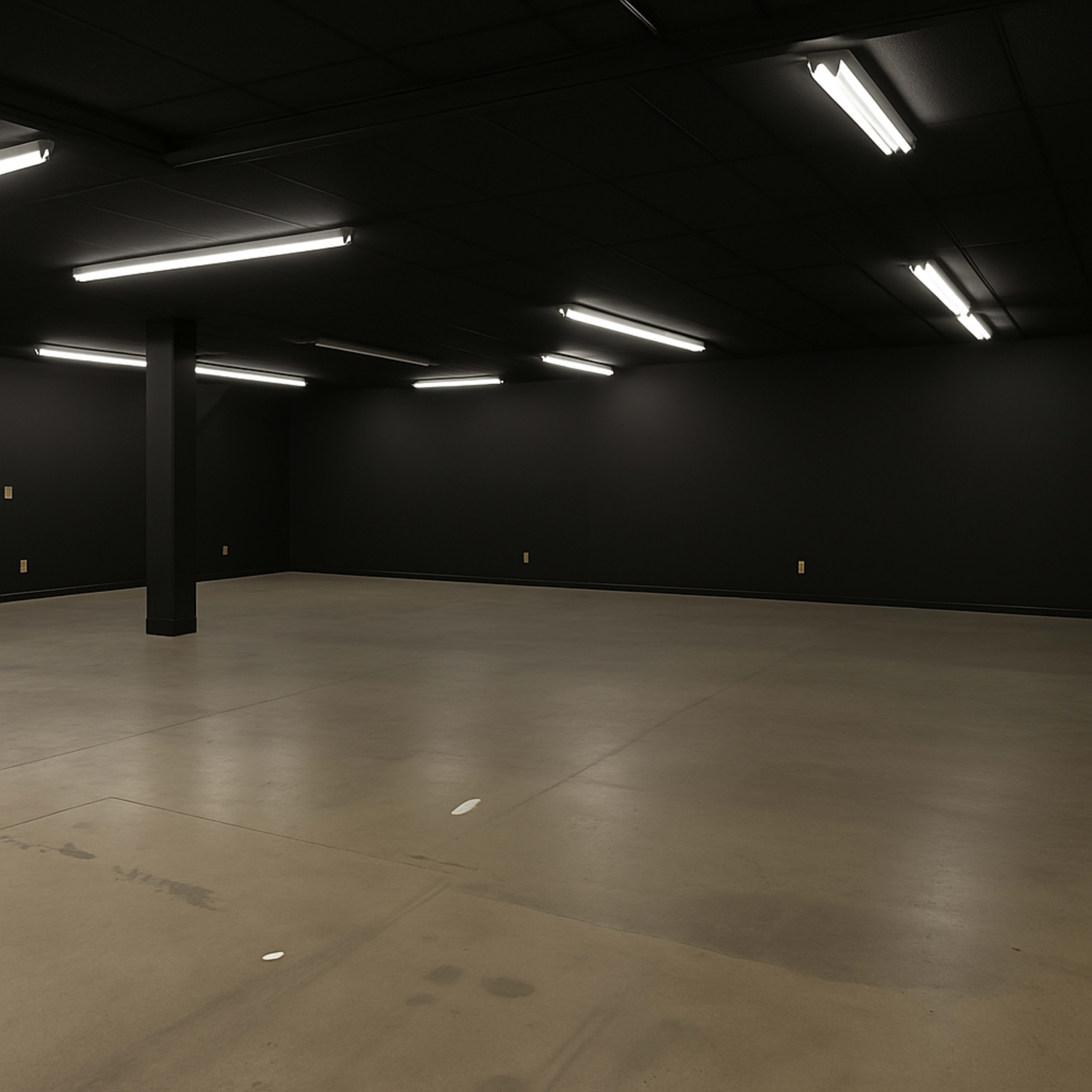 The image shows an empty, dark room with a concrete floor and fluorescent lights on the ceiling.