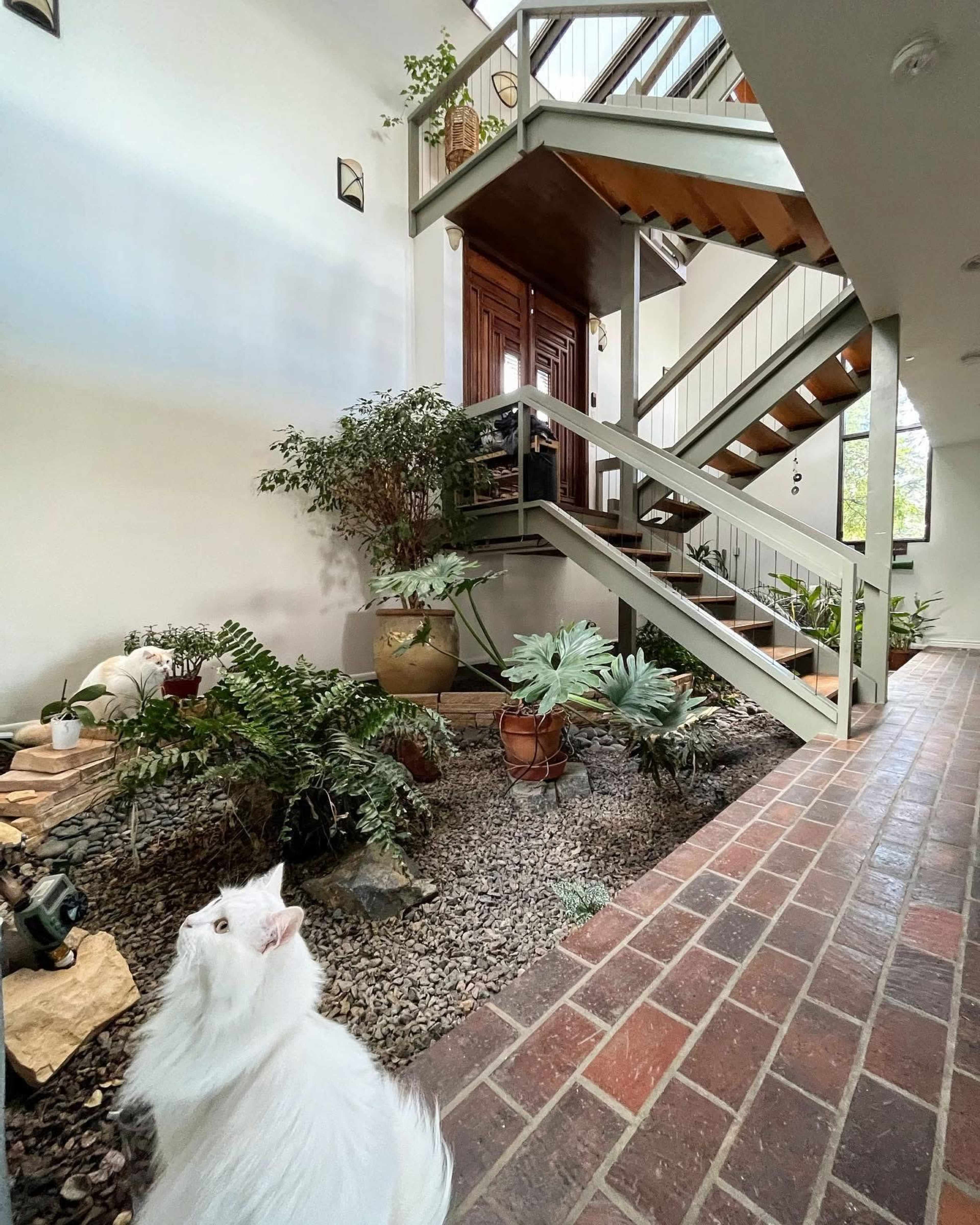 Glass and wood, MCM home, with exceptional mountain views Image in Campion, Loveland, CO