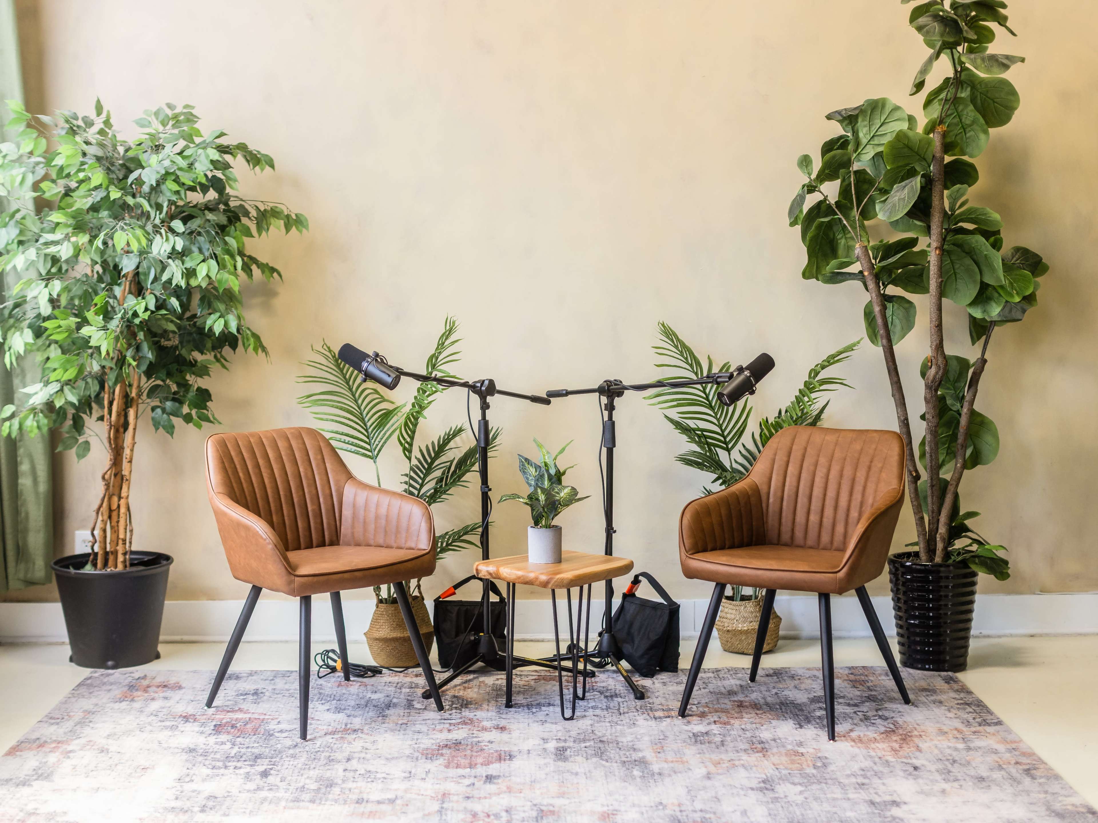 Toronto Podcast Studio (Inclds. Producer w. Mics+Cams) Image in South Riverdale, Toronto, ON