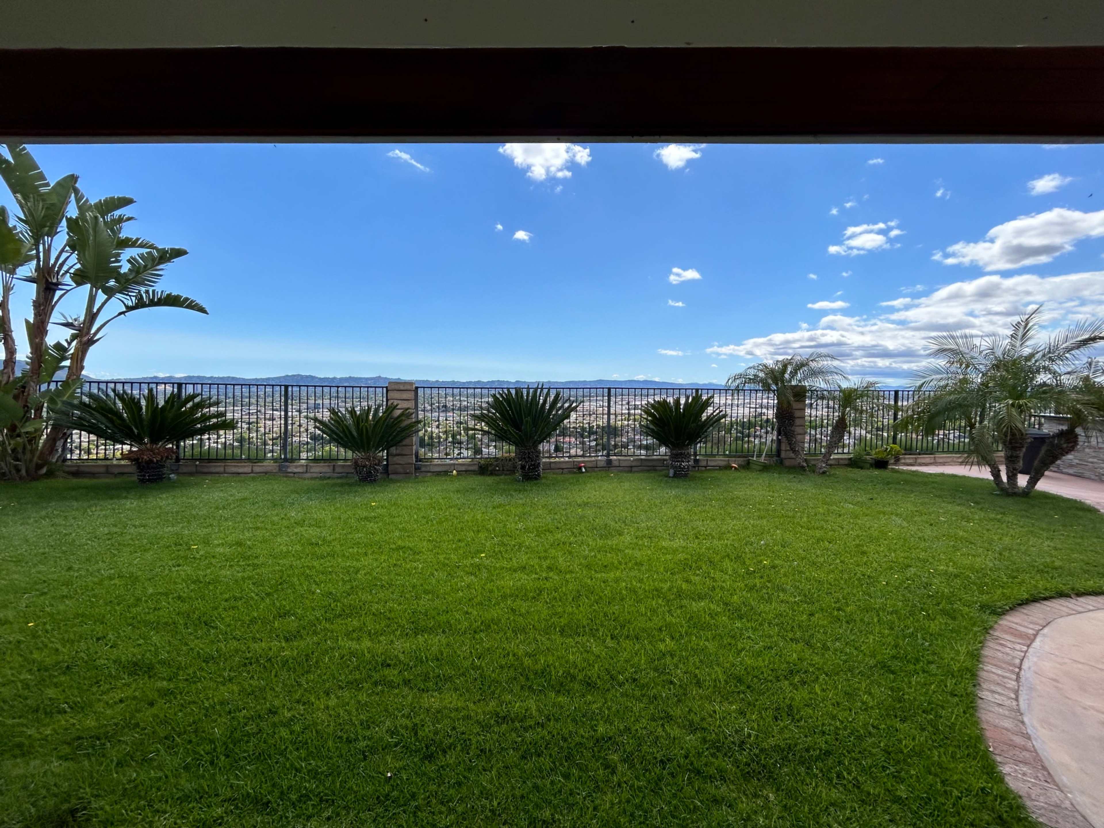 A green lawn bordered by palm plants and a panoramic view of a cityscape under a blue sky with scattered clouds.