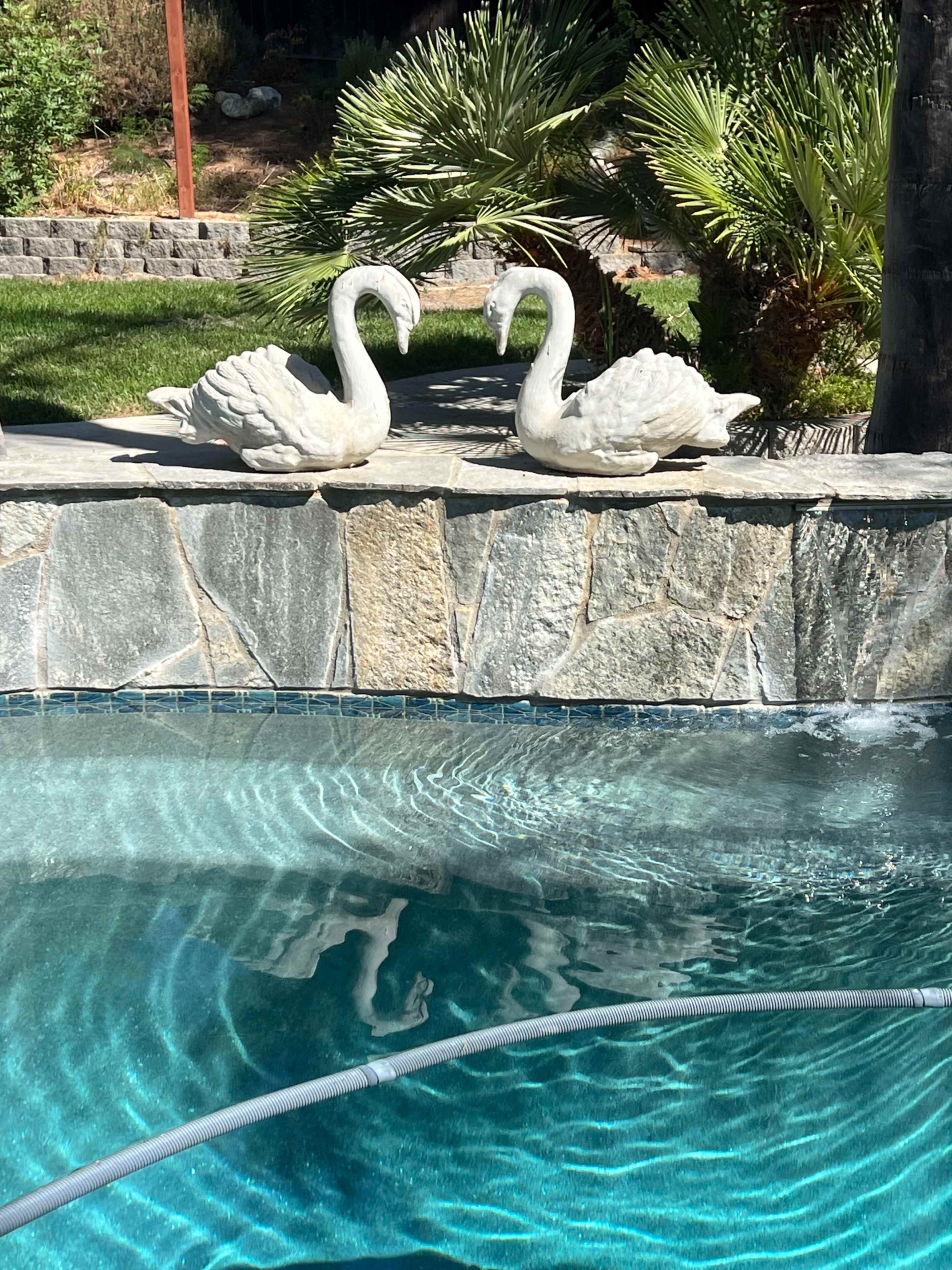 Beautiful Backyard Oasis Image in Murrieta, Murrieta, CA