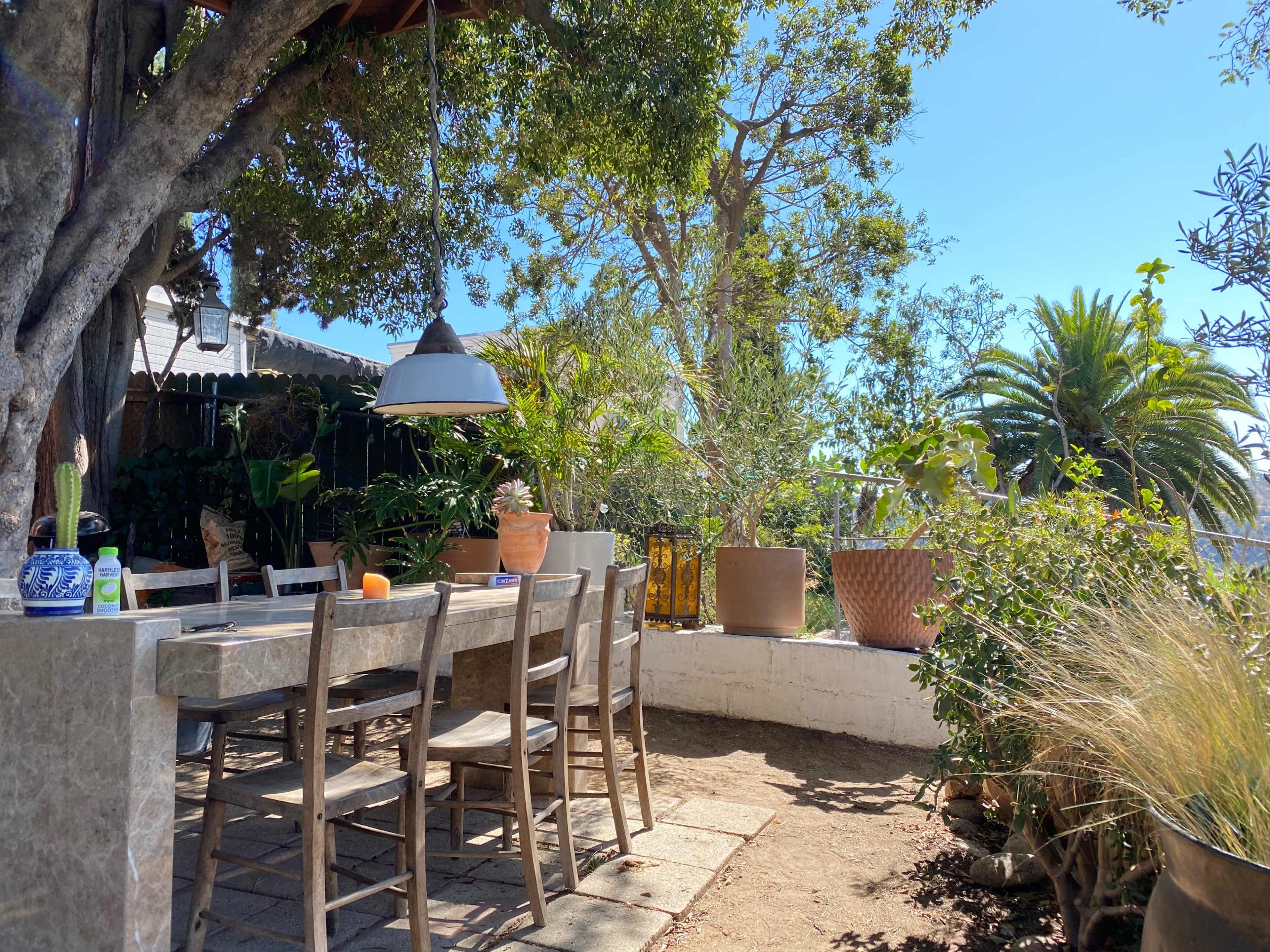A long stone dining table with wooden chairs is set under a tree in a sunny outdoor garden filled with various plants and pots.