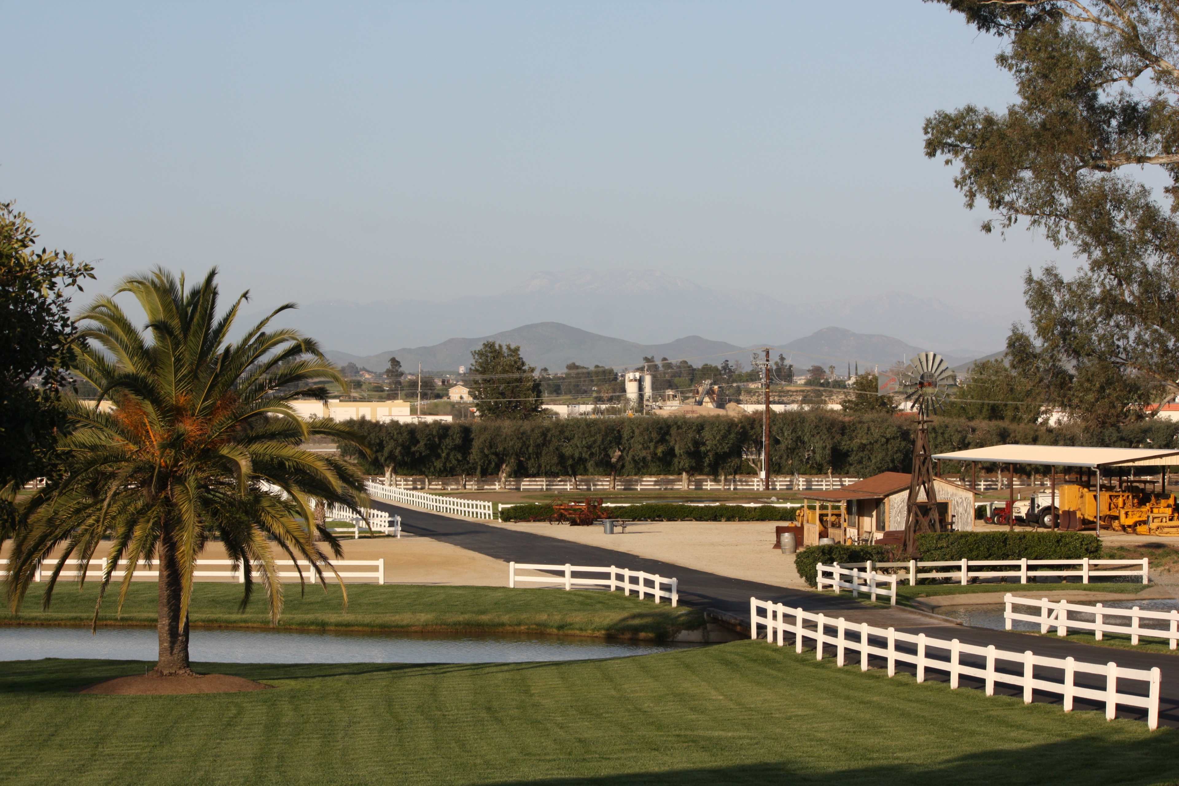 The scene features a rural landscape with a palm tree, a pond, white fences, and distant mountains visible in the background.