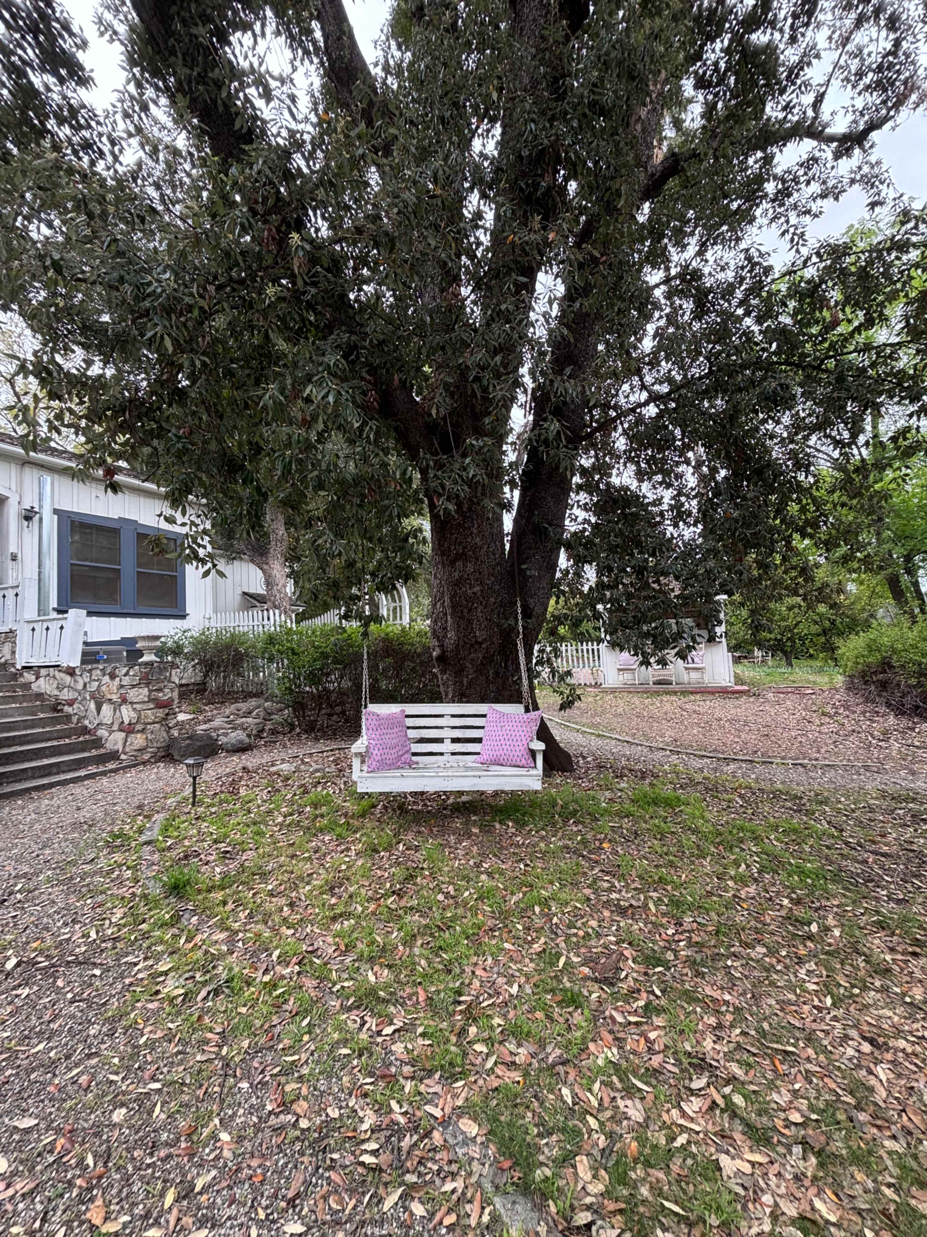 Tree-Filled Backyard of Historic Home Image in Tarzana, Woodland Hills, CA