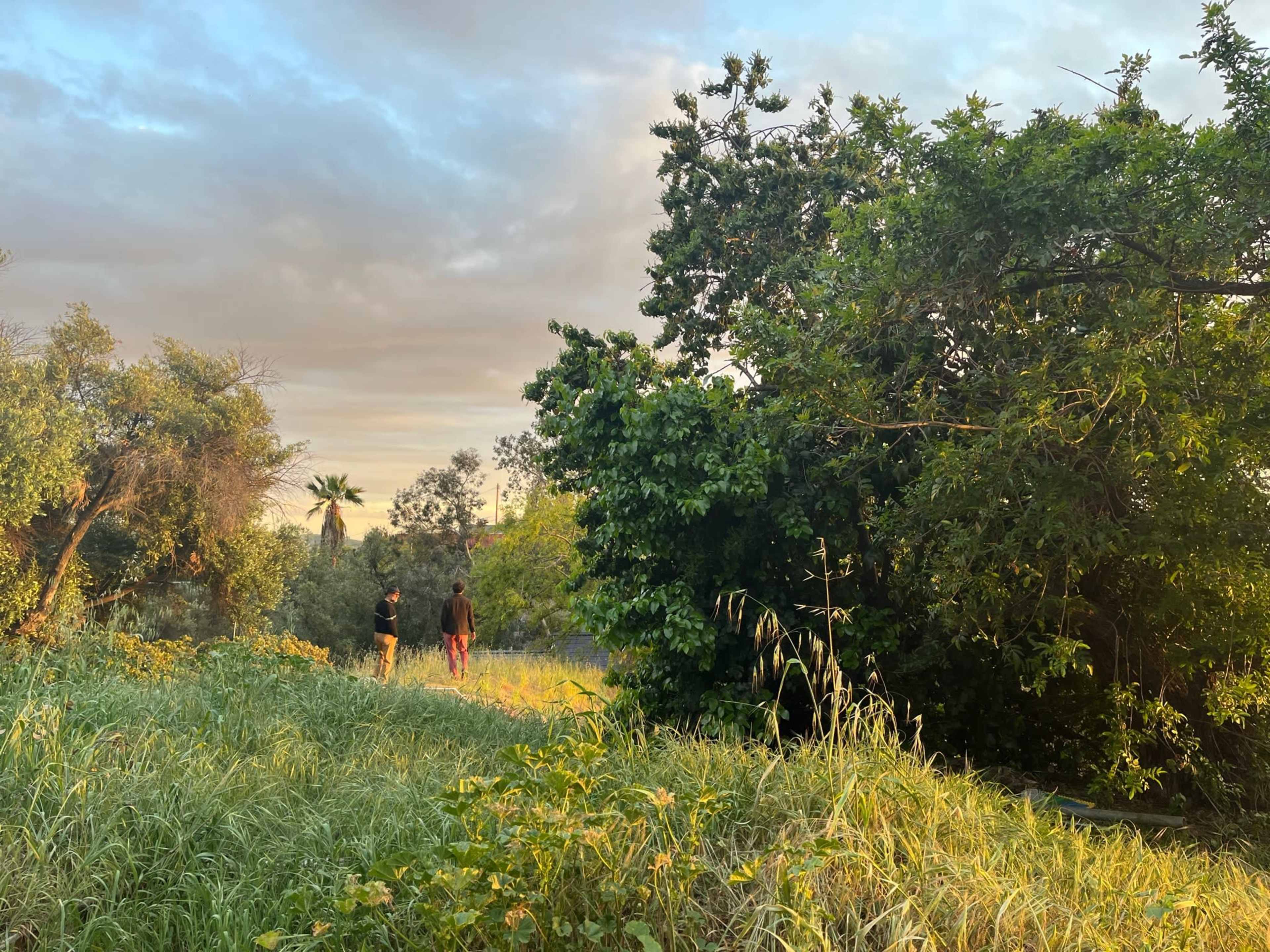 Epic Highland Park Hilltop With 360 Views Image in Northeast Los Angeles, Los Angeles, CA