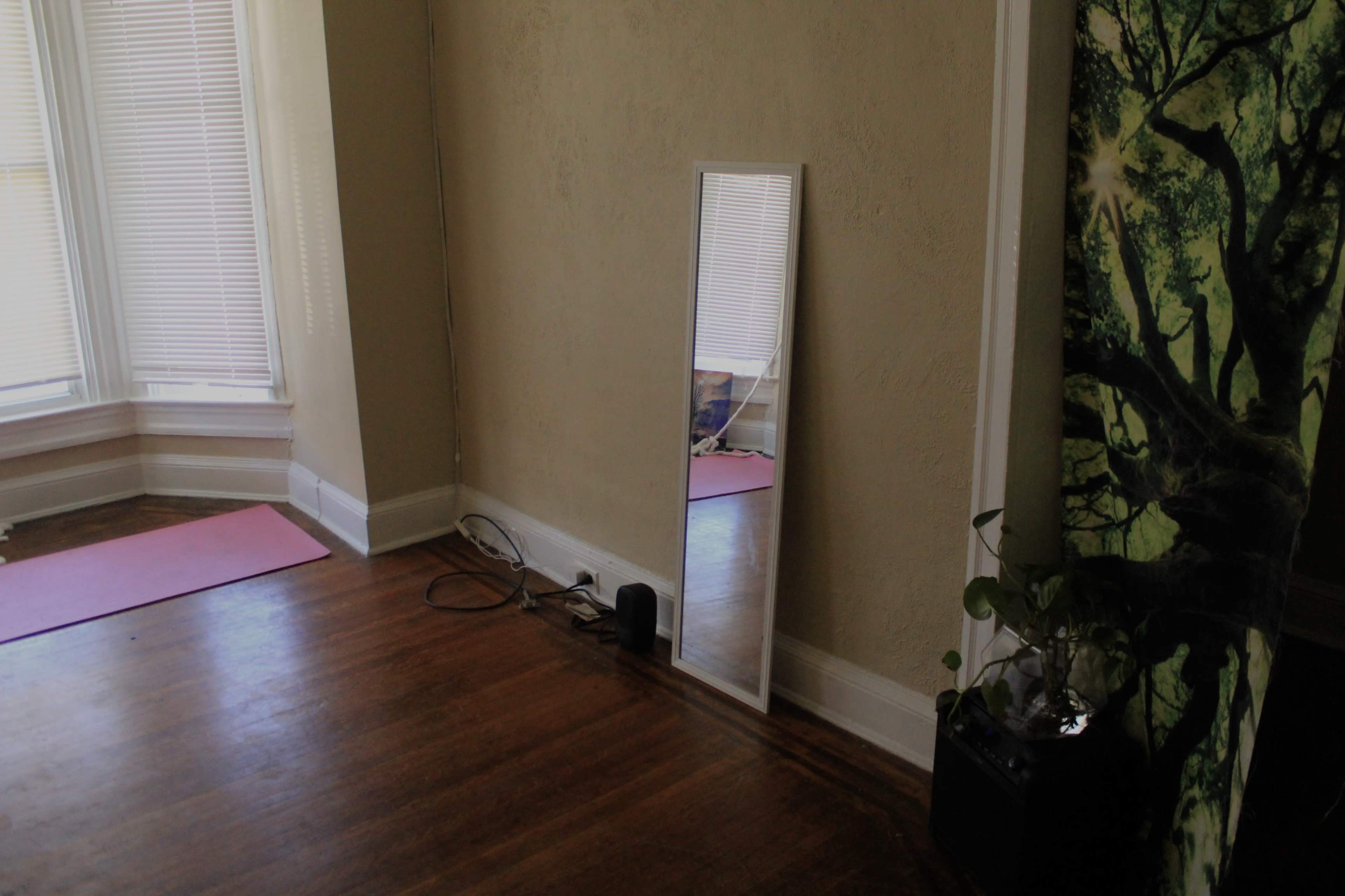 A tall mirror stands against a light-colored wall in a room with wooden floors, while a potted plant and yoga mats are visible nearby.