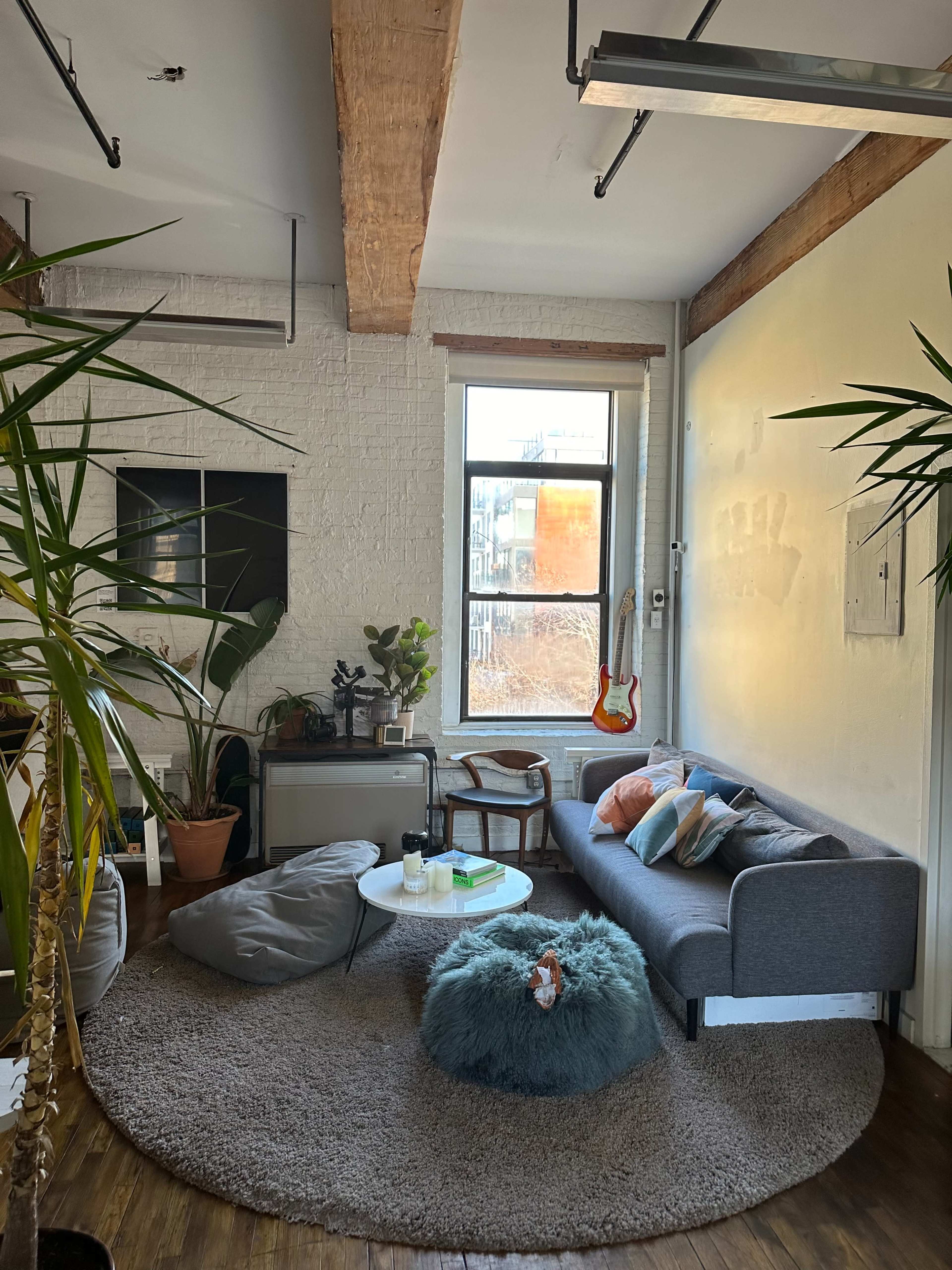 A cozy living room features a gray sofa, a circular rug, potted plants, and a window with city views.