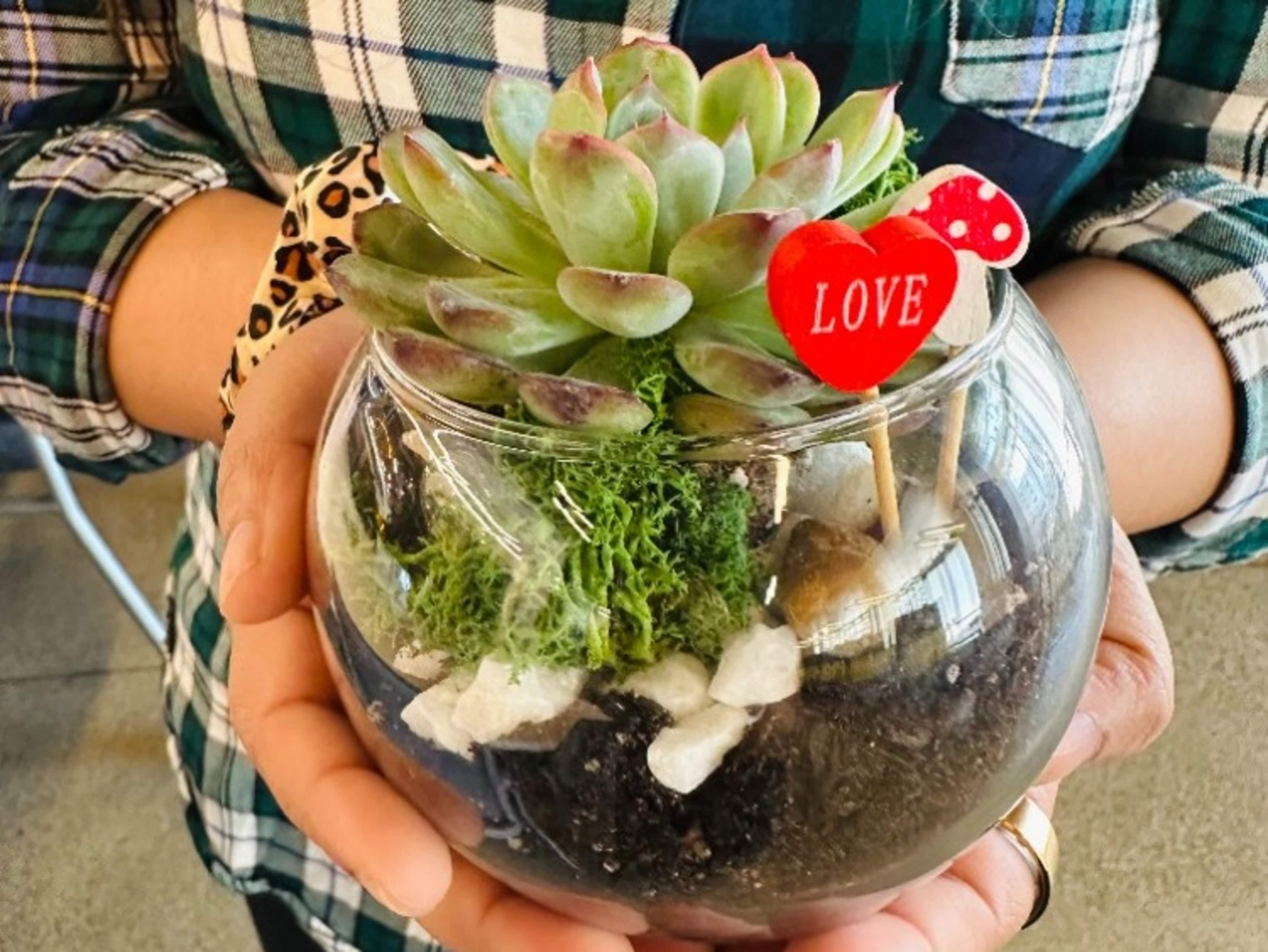 DIY Terrarium