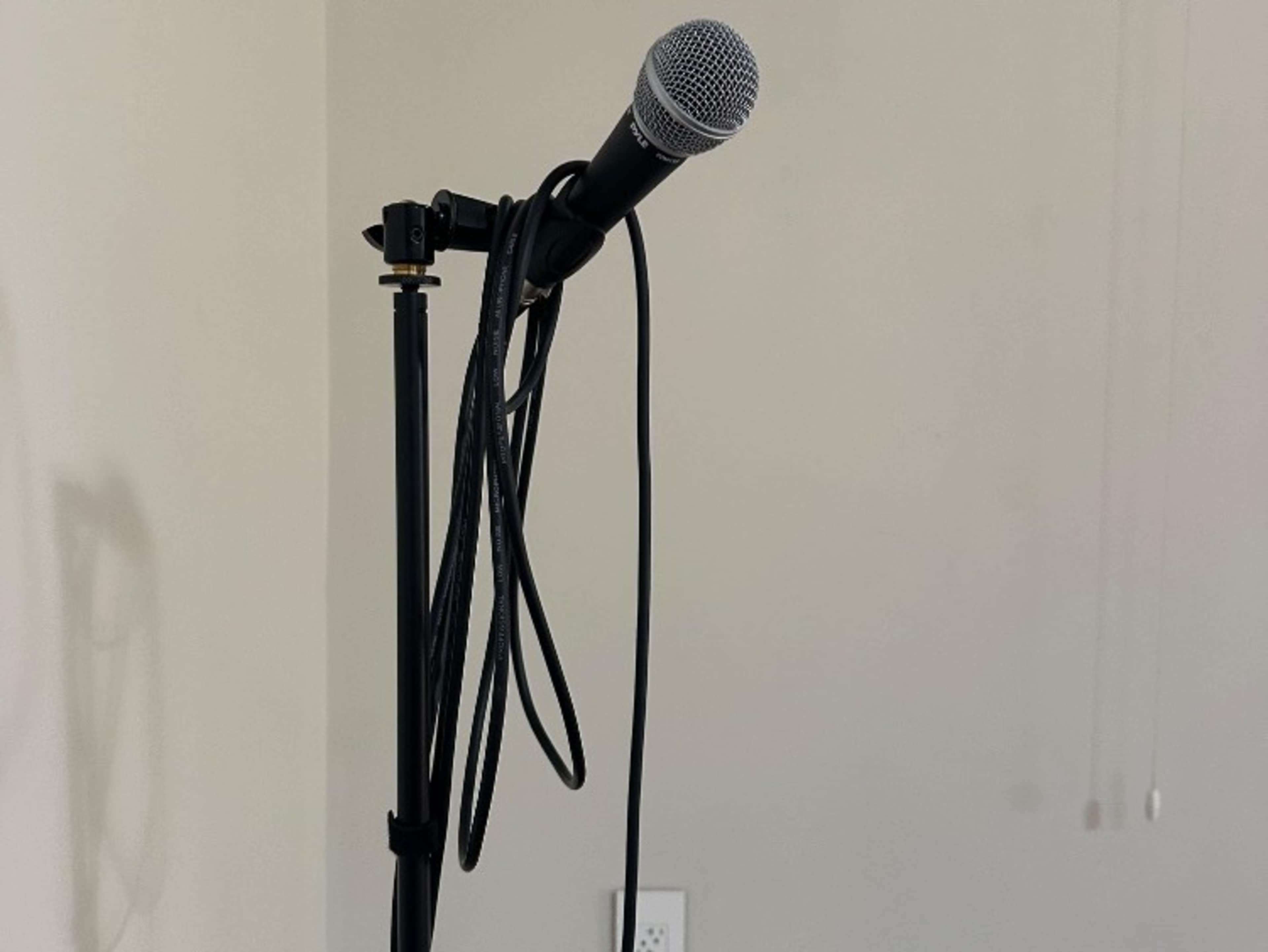 Hand-held Microphone