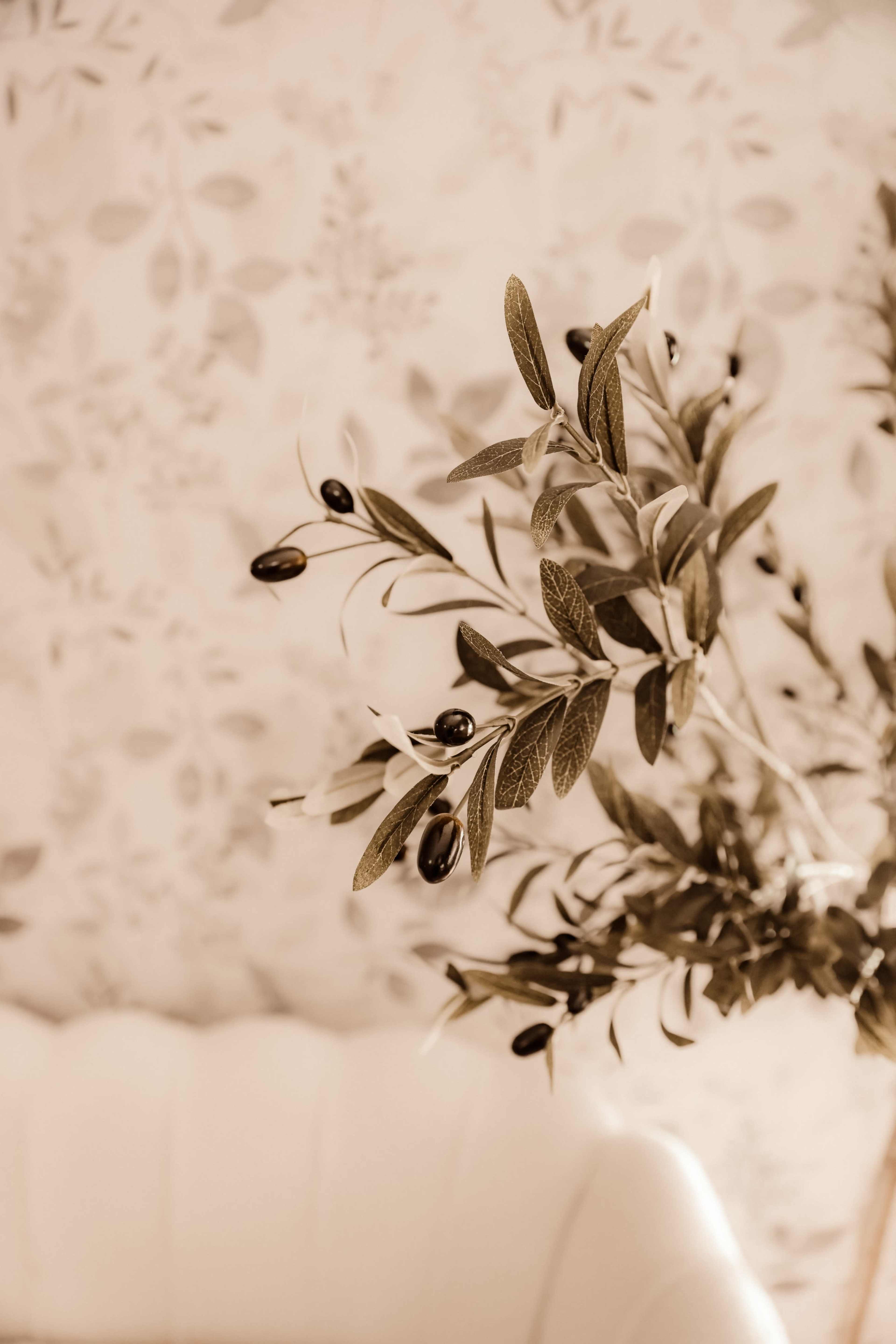 A branch with dark olives and green leaves is shown against a softly patterned wallpaper backdrop.
