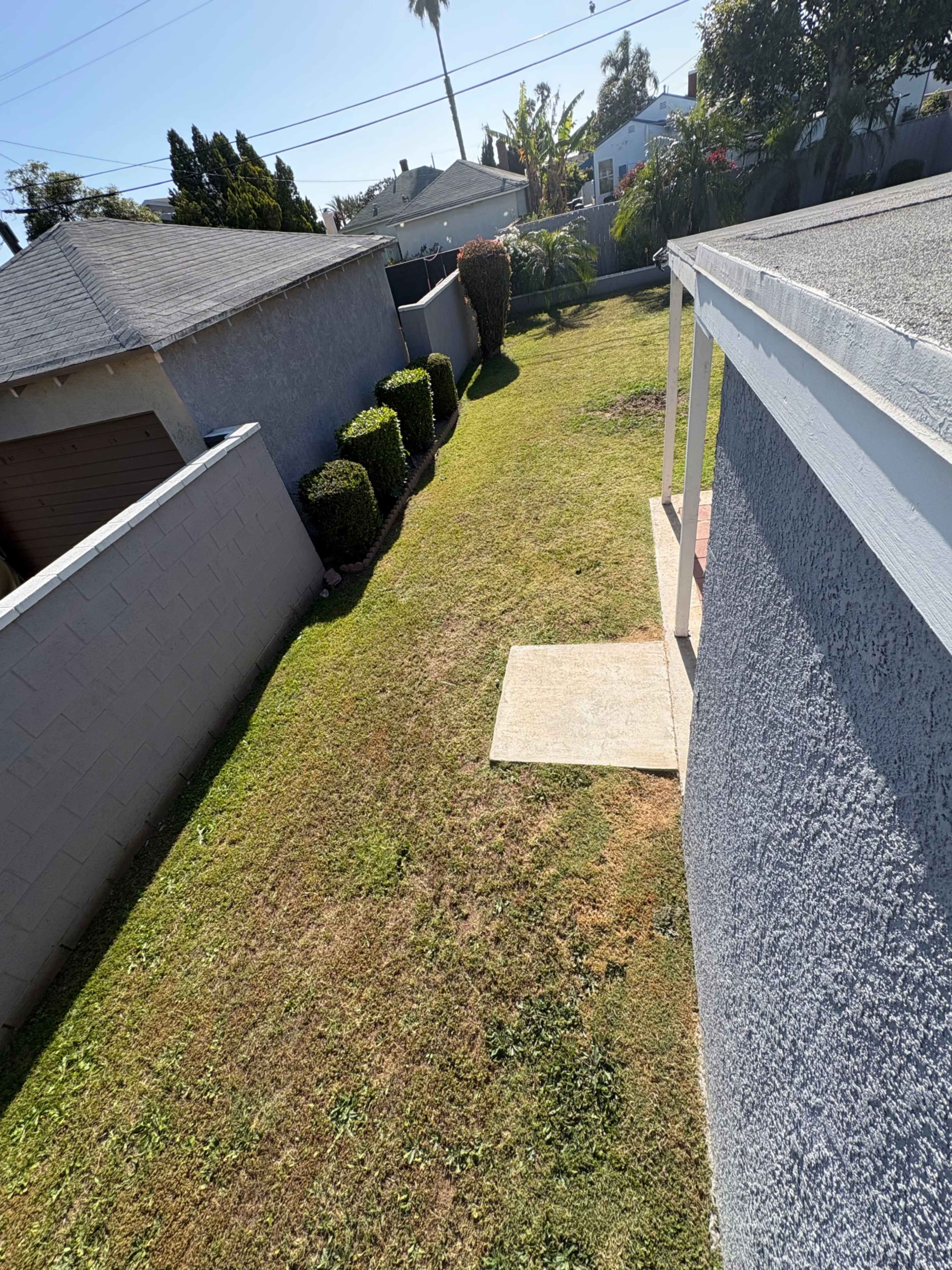 The image shows a narrow grassy yard bordered by hedges and two adjacent buildings under clear blue skies.