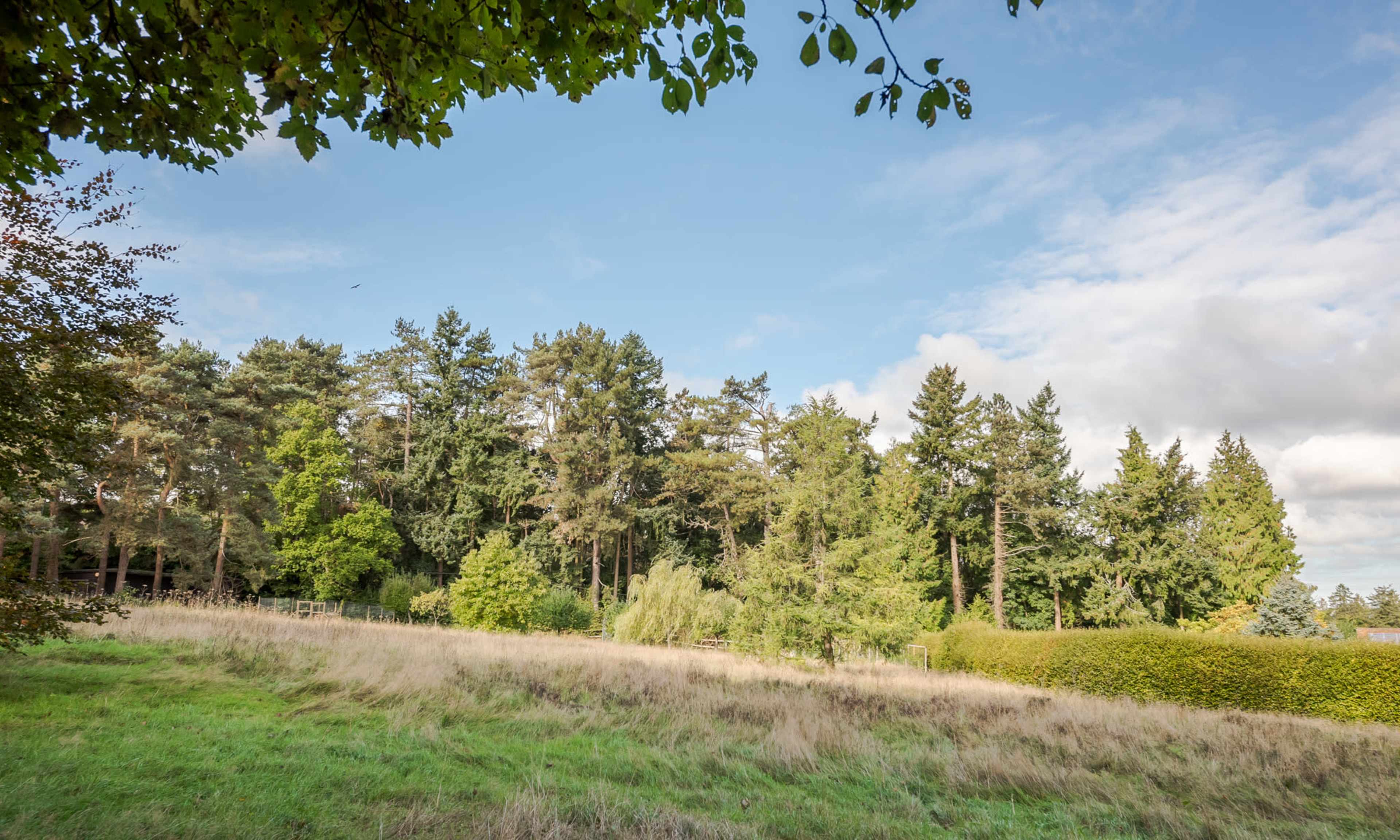 A grassy field bordered by a dense area of trees under a partly cloudy sky.