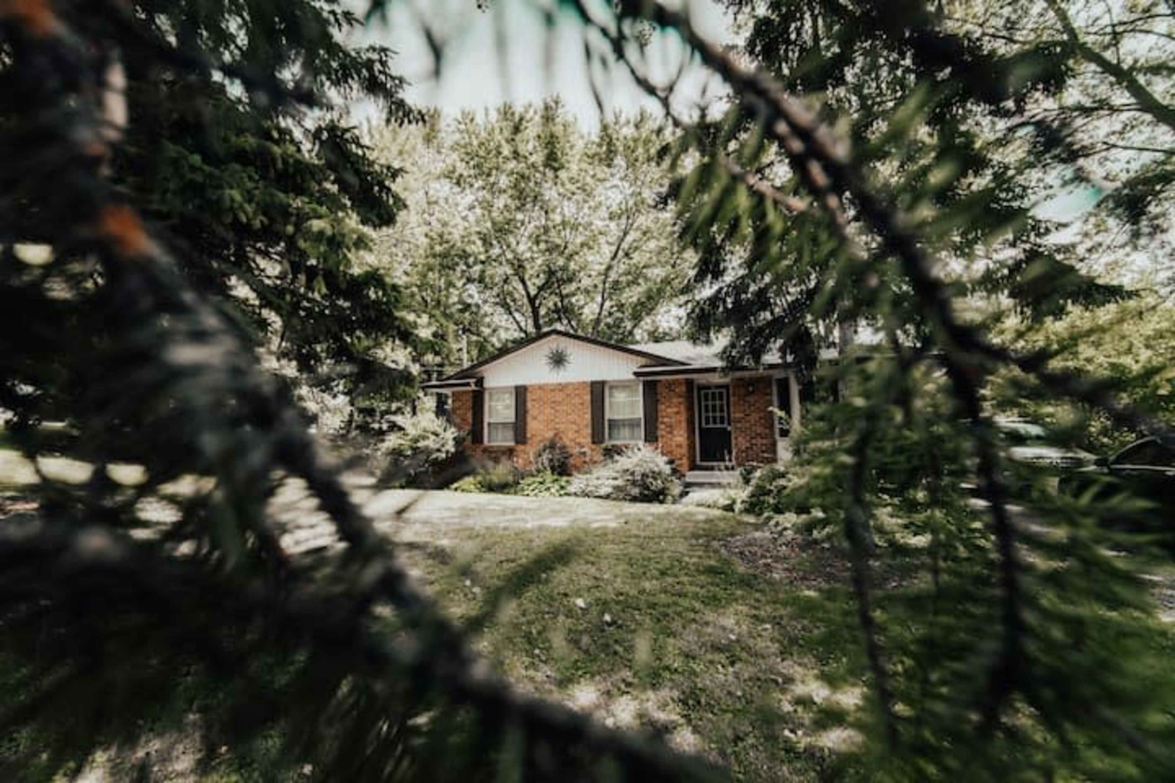 A brick house is partially visible through the branches of evergreen trees in a yard filled with greenery.