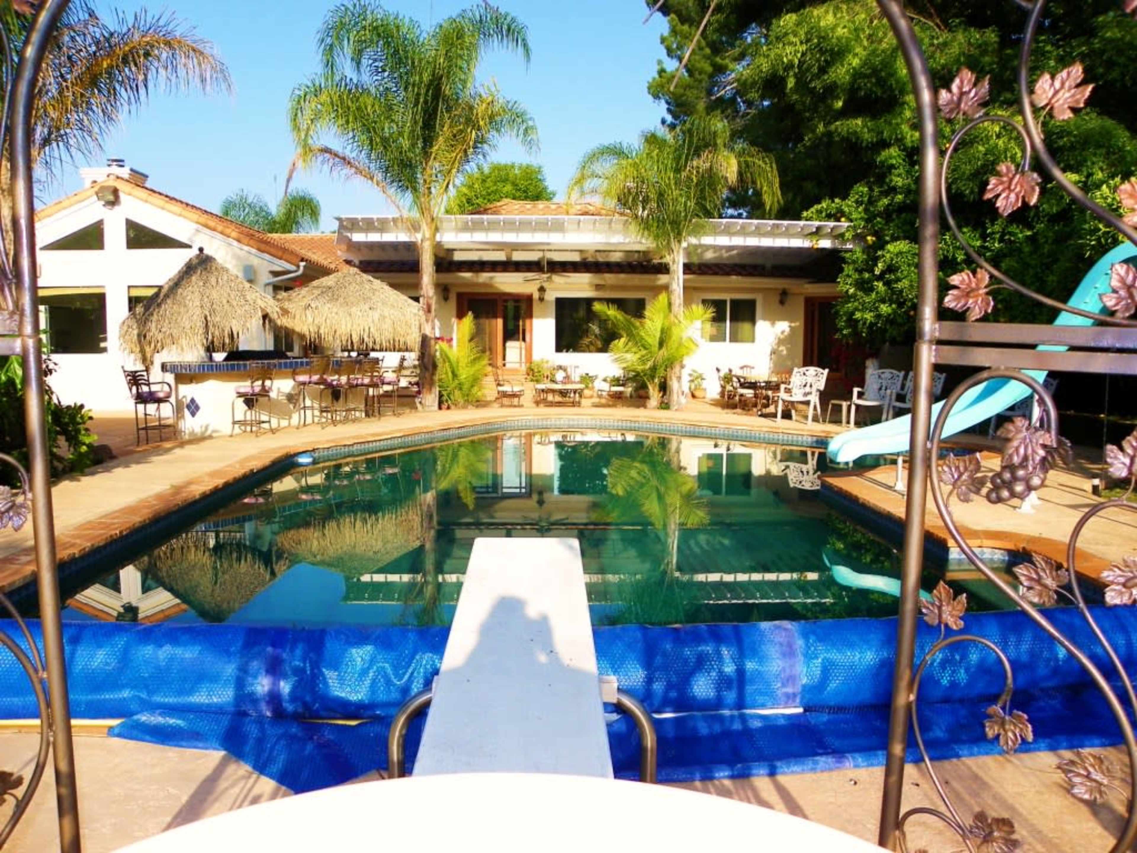 A swimming pool surrounded by palm trees and lounge chairs, with a diving board in the foreground and a house visible in the background.