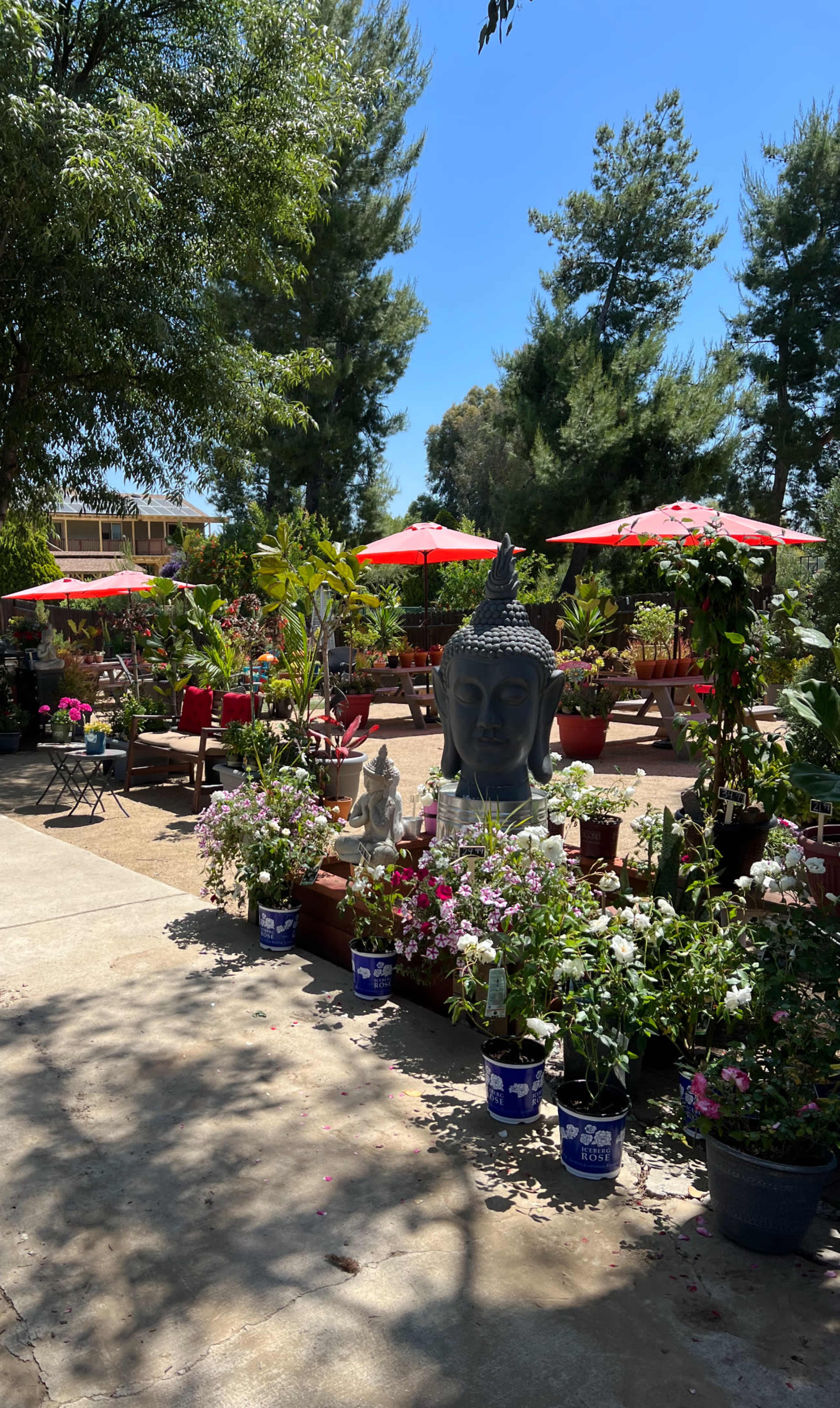 The scene features a garden area with a large Buddha statue surrounded by potted plants, colorful umbrellas, and seating arrangements.