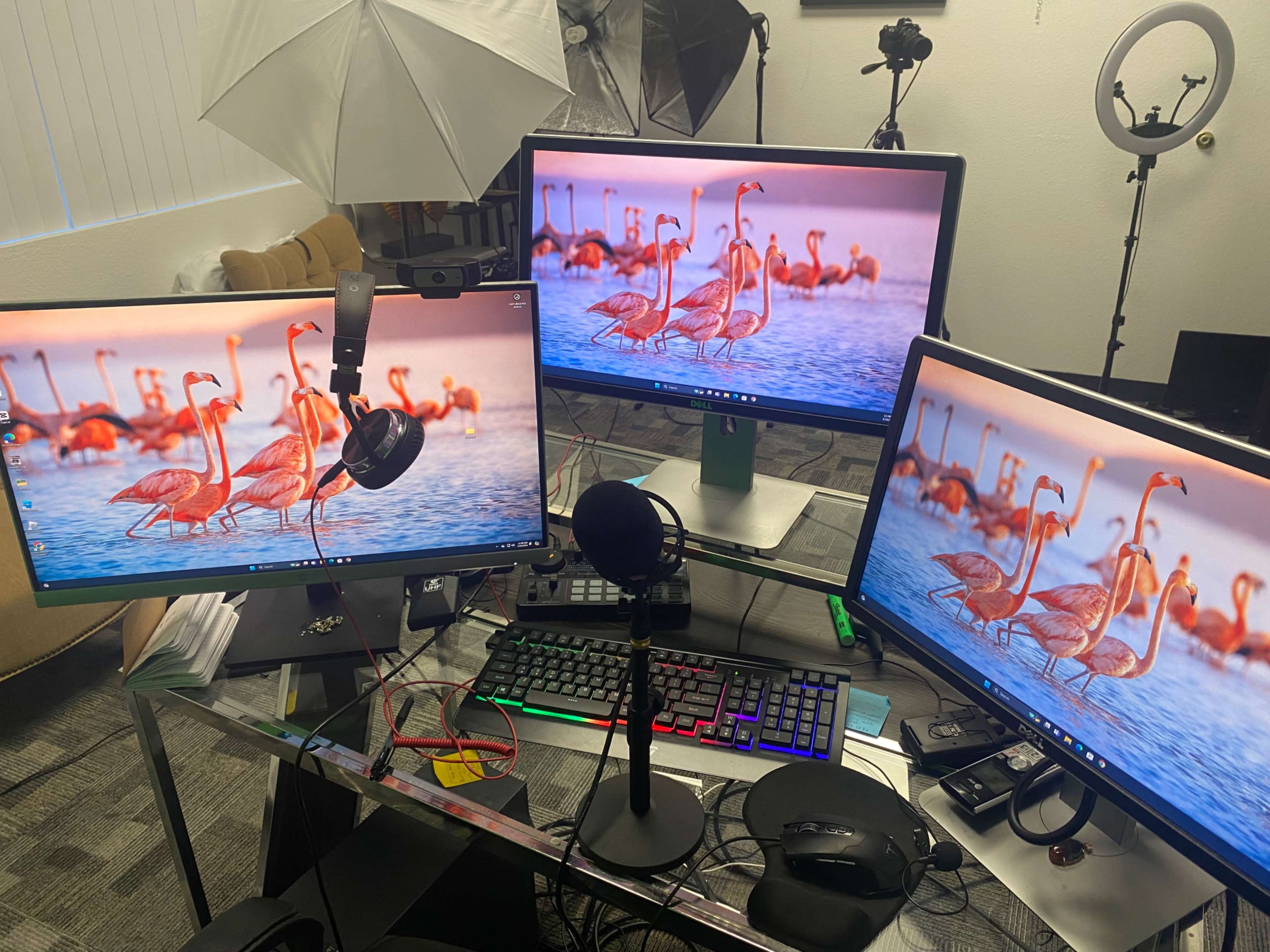 A workspace setup featuring two monitors displaying an image of flamingos, with a microphone, keyboard, and mouse on a glass desk.