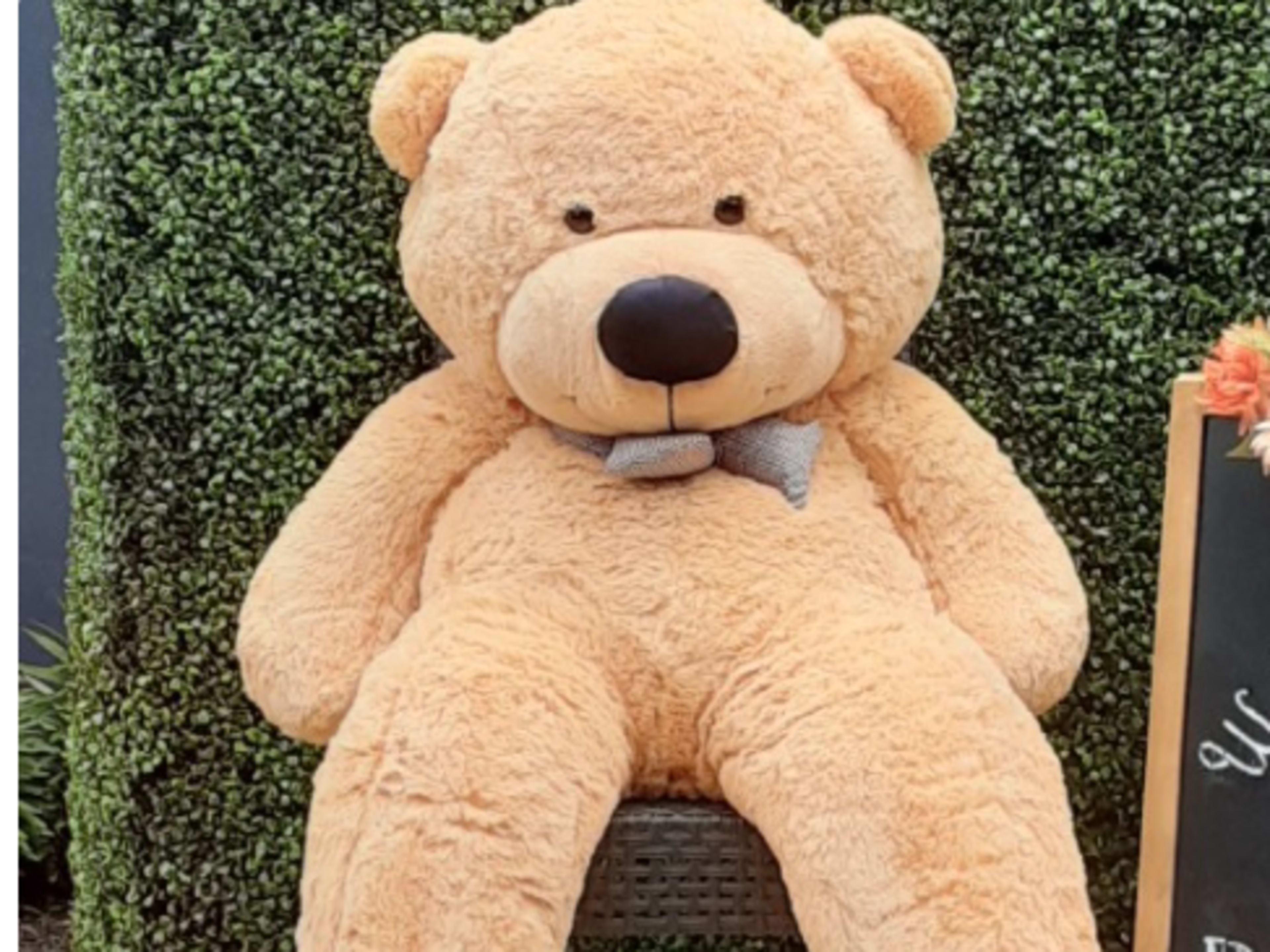 Giant Bear (only)