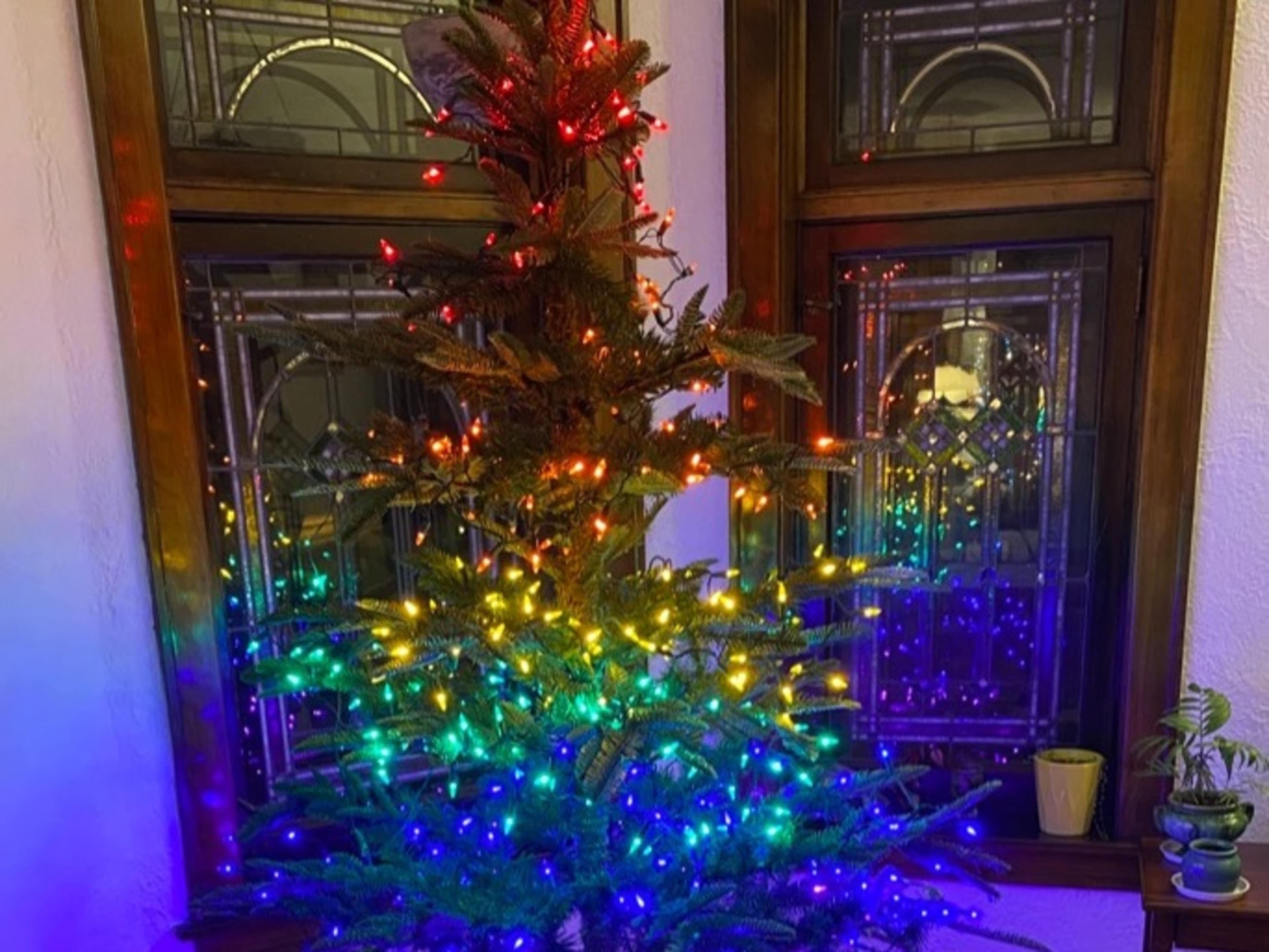 Christmas Tree and Decorations