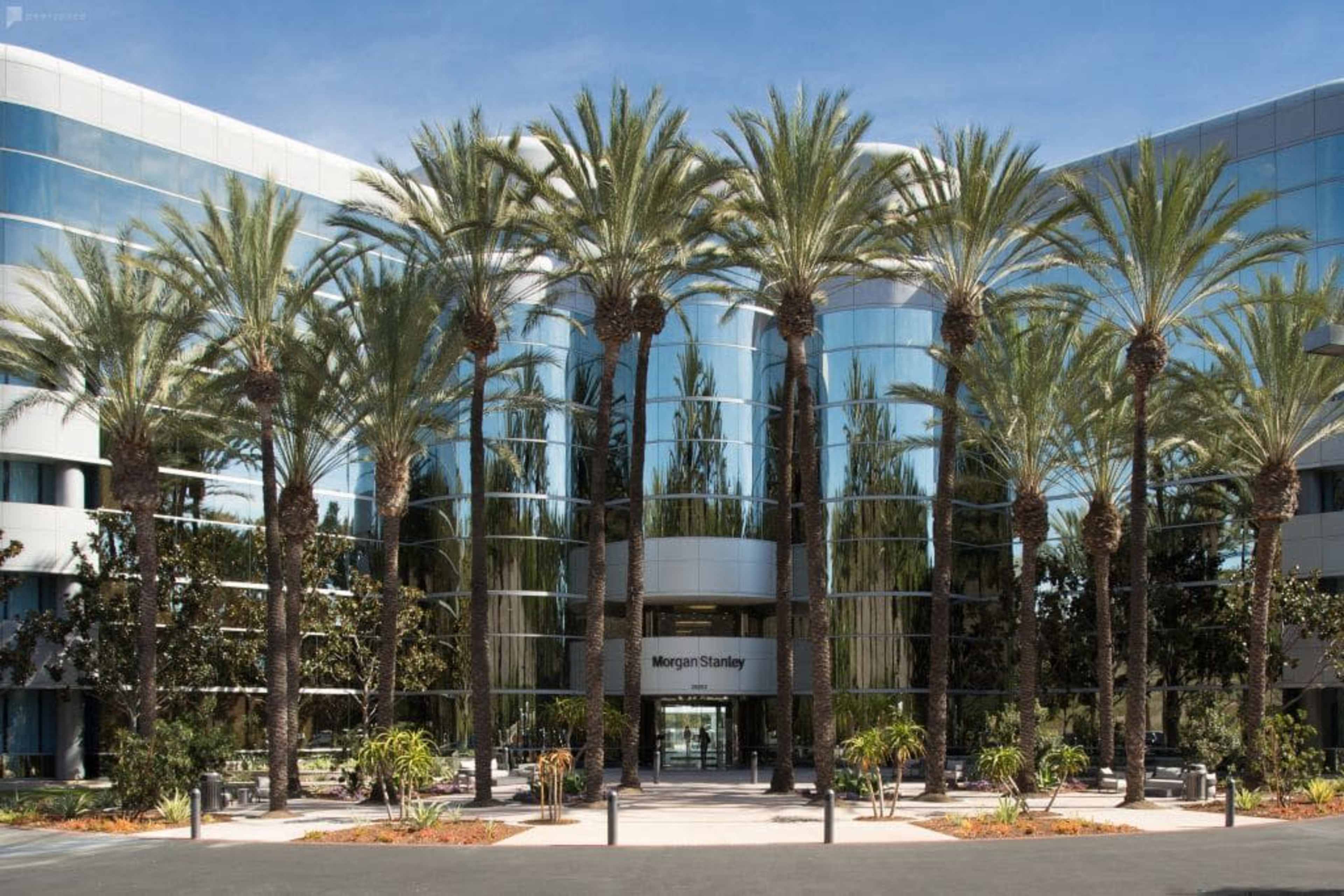 The image shows a modern glass-fronted building surrounded by palm trees and landscaped greenery, with a sign displaying "Morgan Stanley" at the entrance.