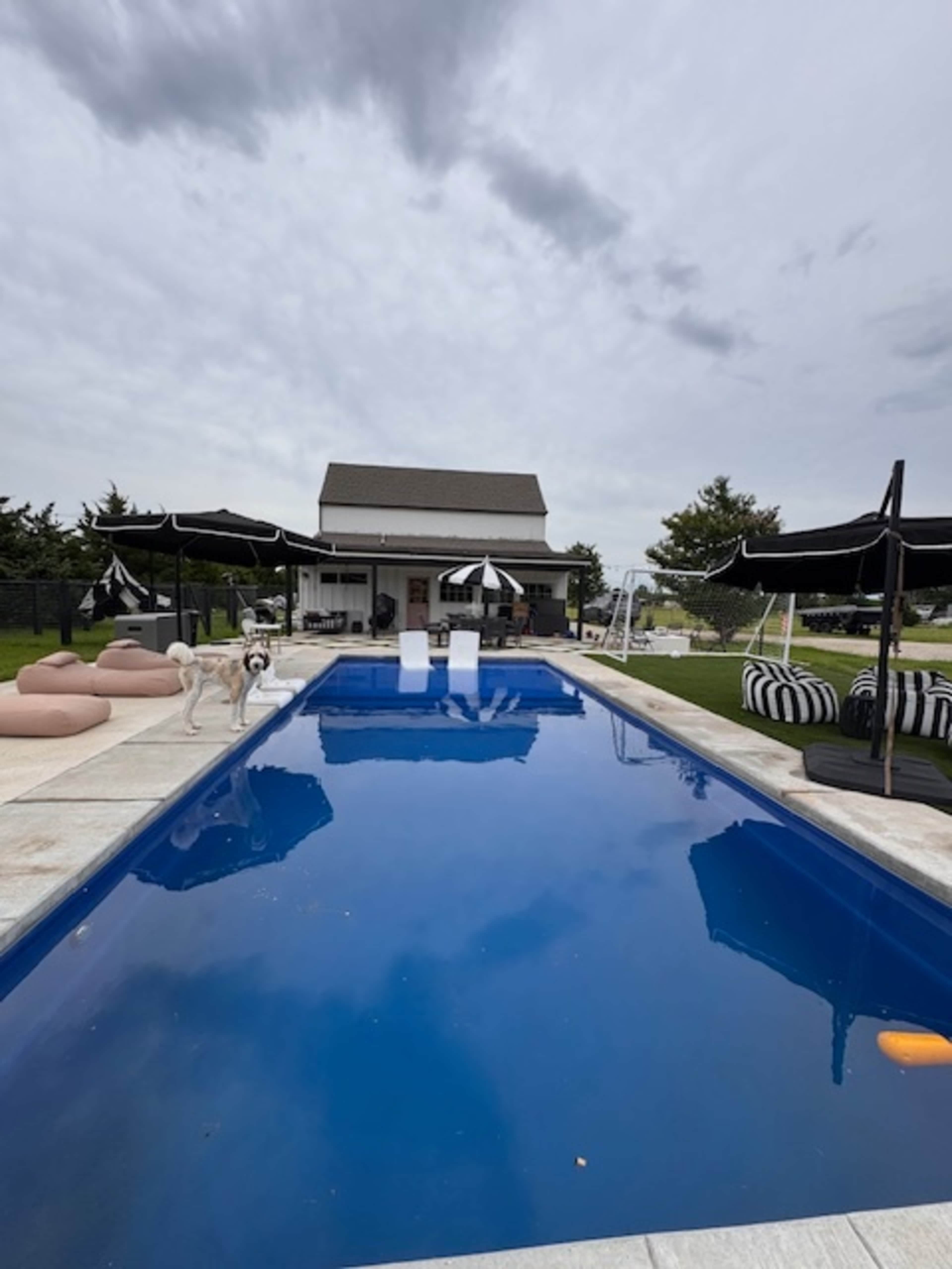 A rectangular swimming pool with a deep blue surface is surrounded by lounge chairs and umbrellas in a grassy area, with a house visible in the background.
